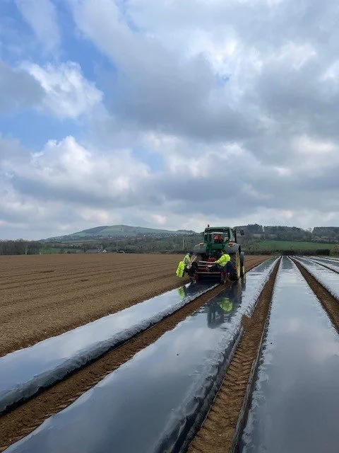 Lads putting down bio plastic.jpg