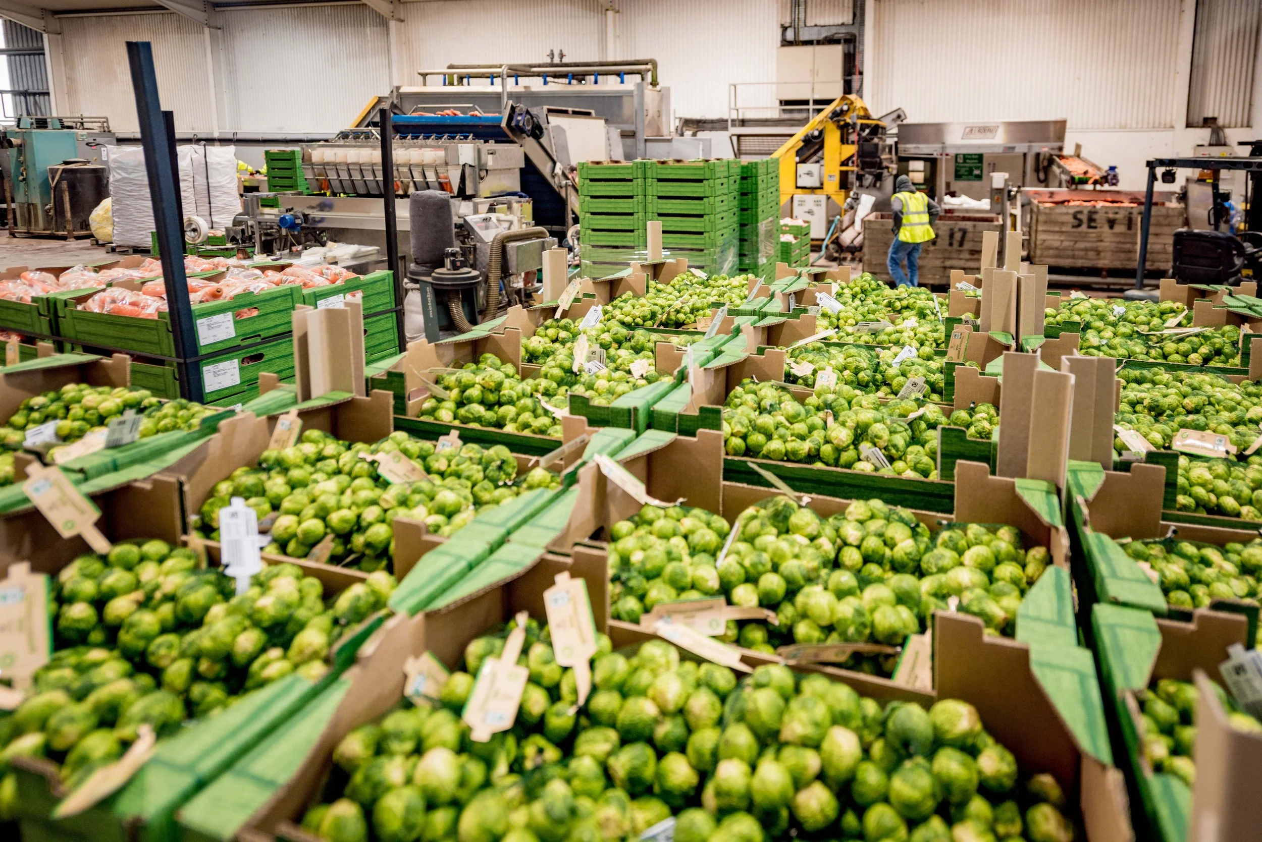 221220_South-East-Vegetables_249.jpg