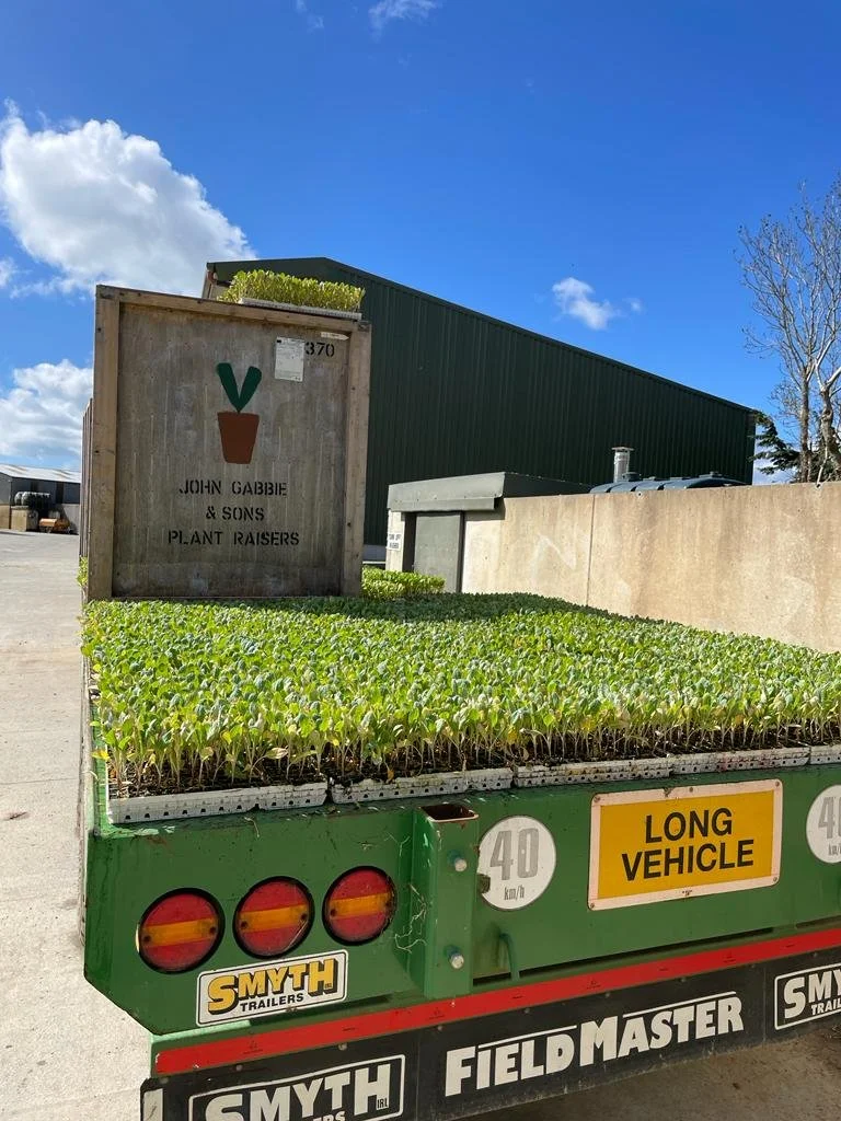 plants on trailer 1.jpeg