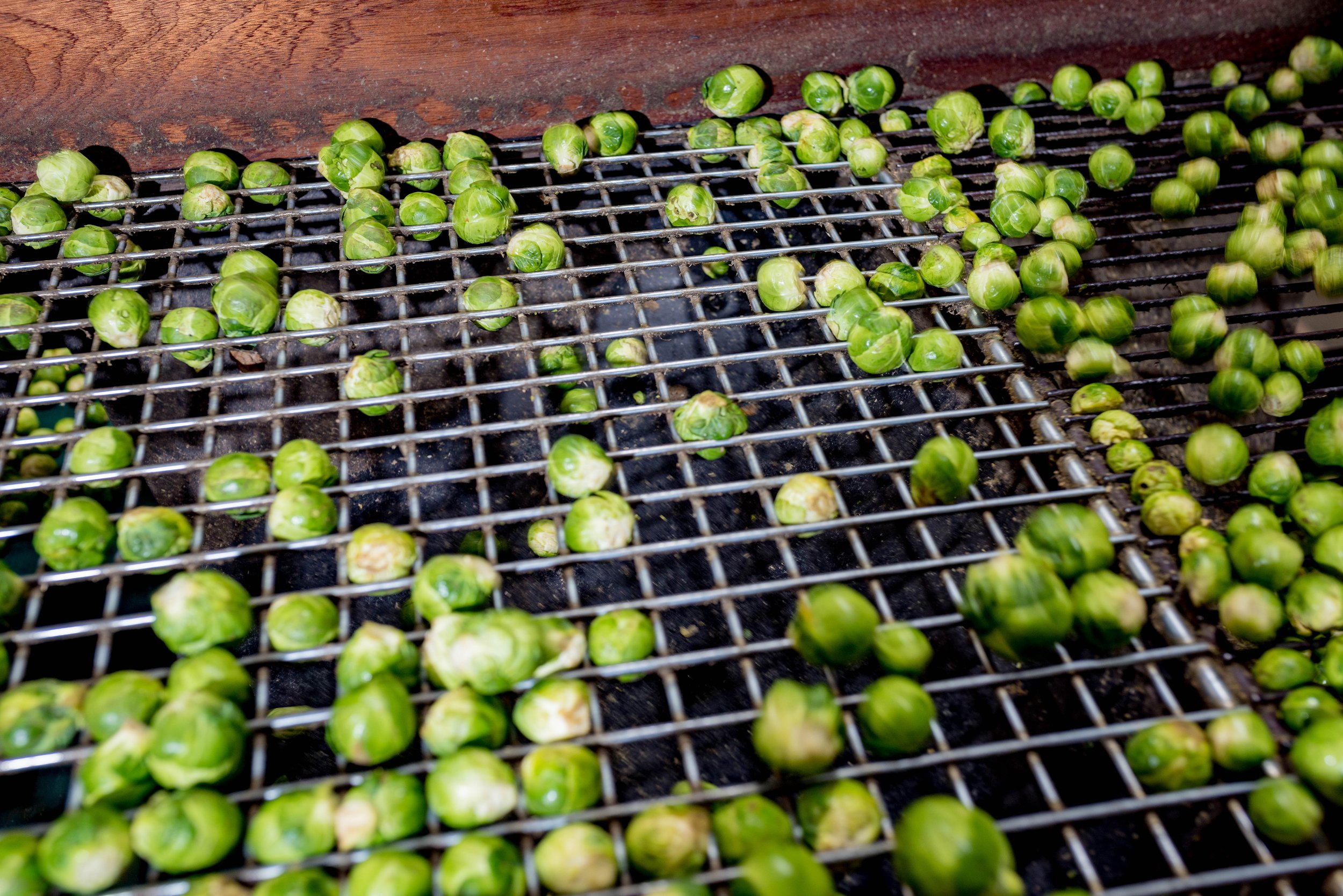 221220_South-East-Vegetables_137.jpg