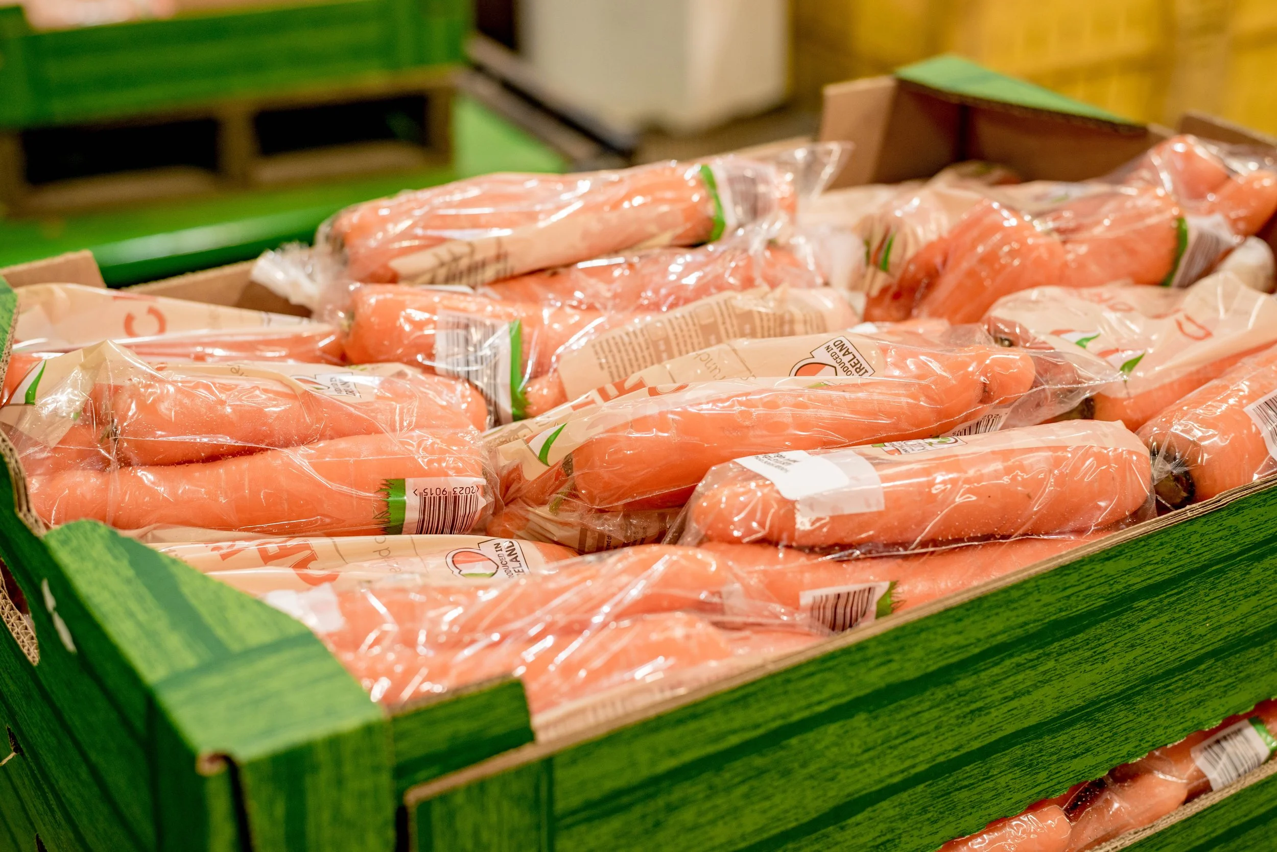 221220_South-East-Vegetables_308.jpg