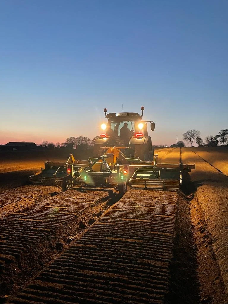 Night bedforming.jpeg