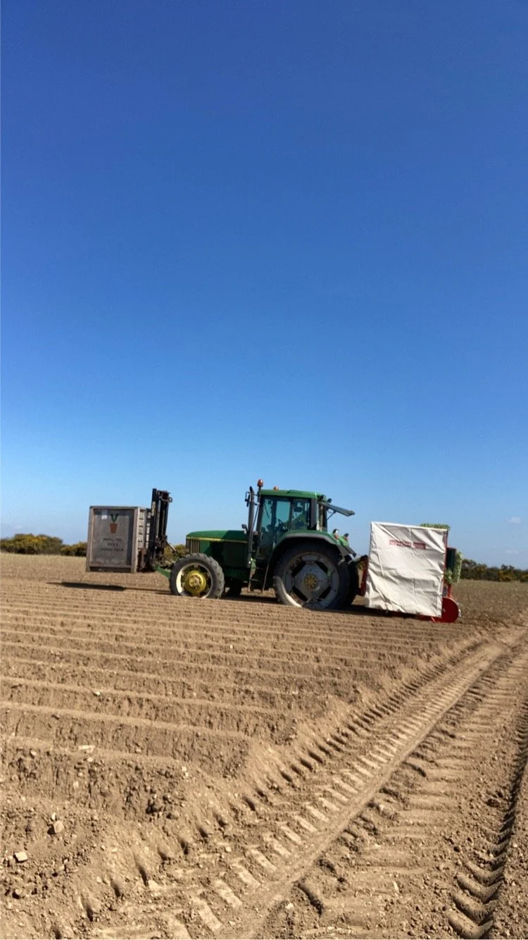 John Deere Planting.jpeg