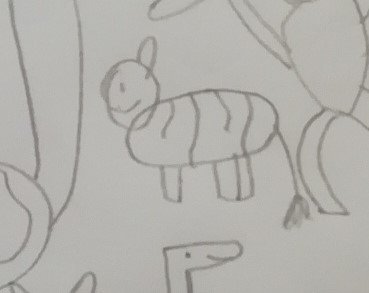 the zoo