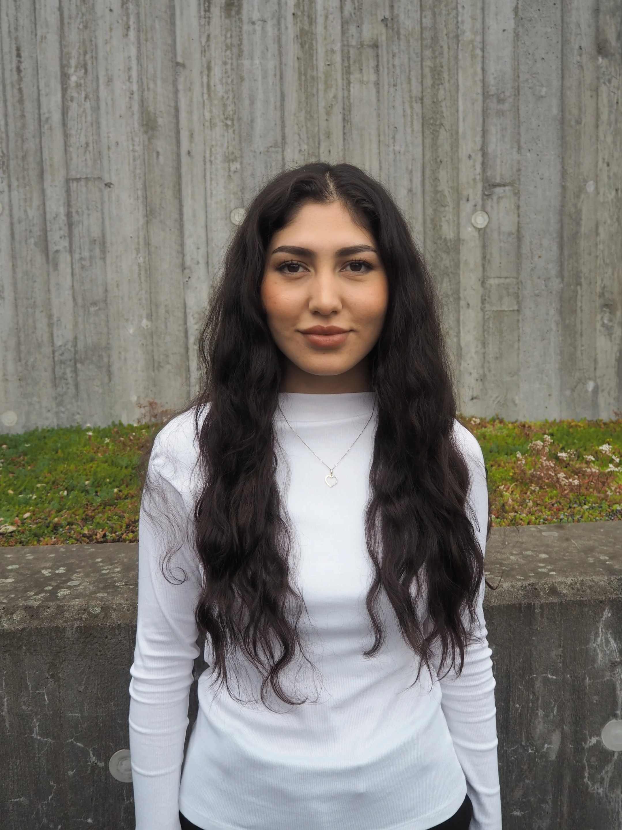 Nelowfer Muhammadi - Arkitektur - BAS