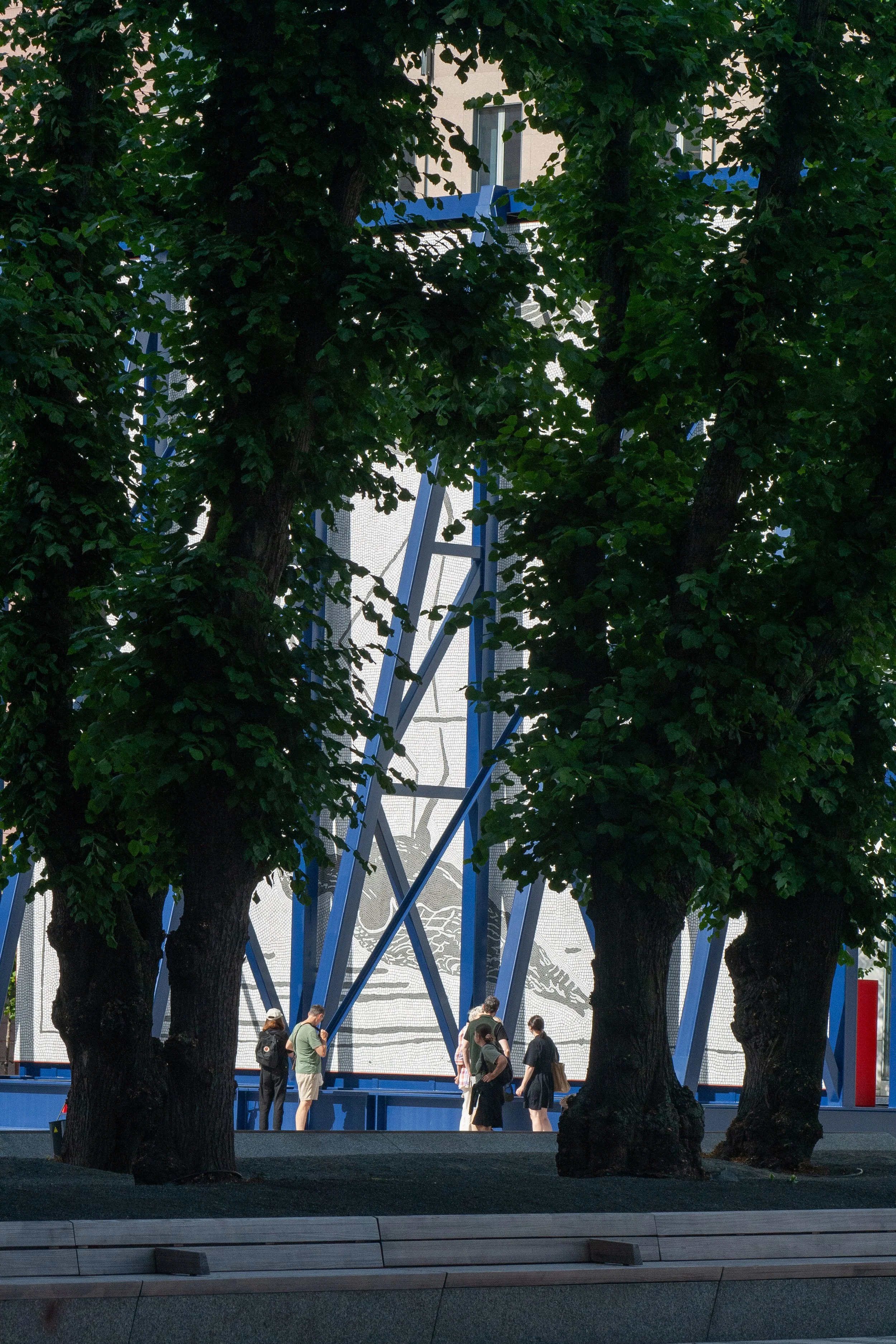 IMG_0500.jpg
