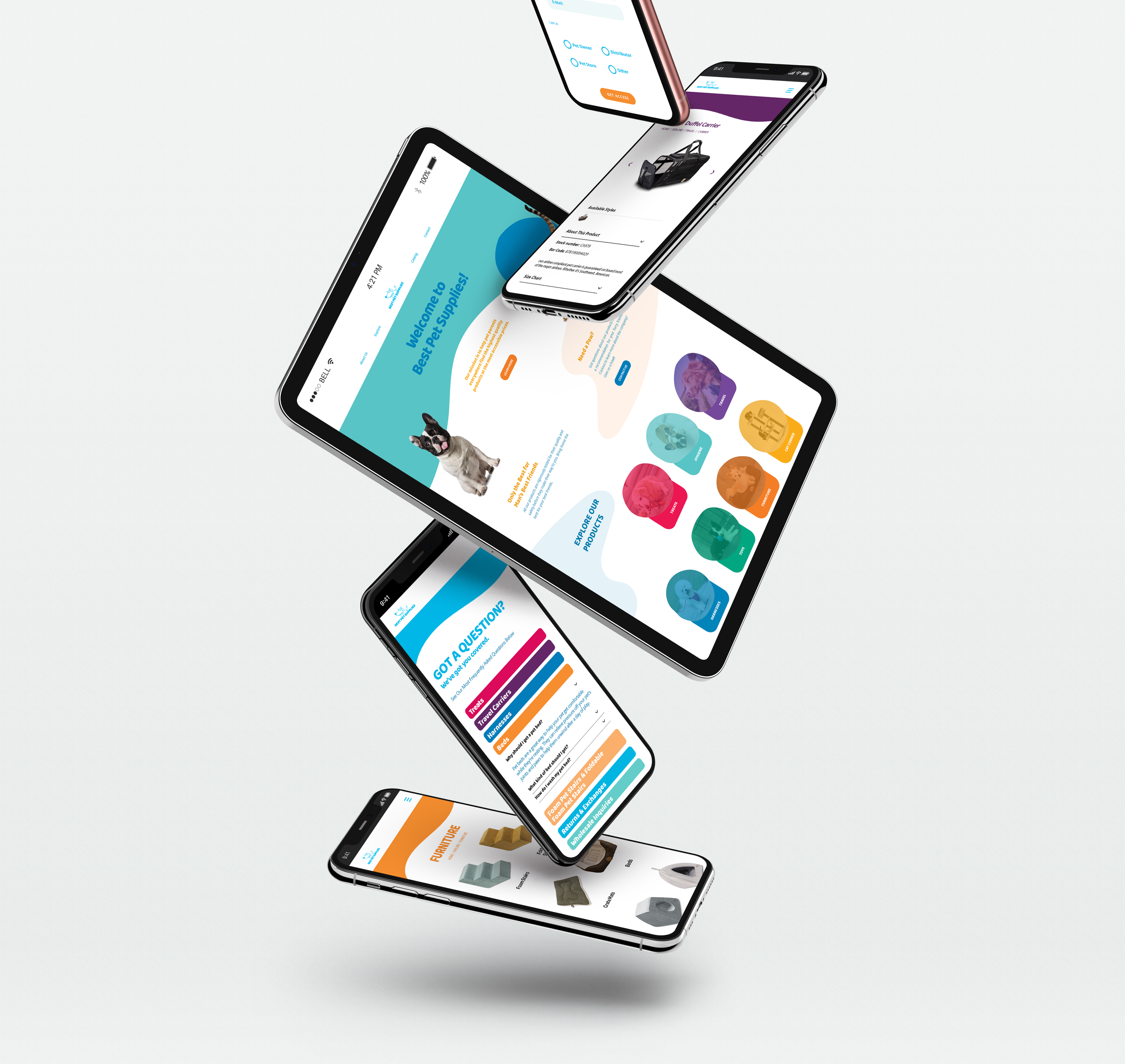 Pet Supplies | Helping the company reposition on its digital platforms.