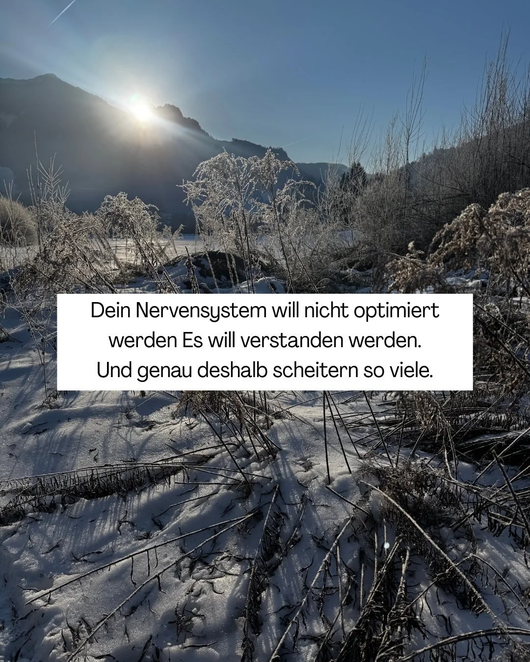 👉 Kommentiere KOMPASS und hol dir deine kostenlose Human Design Landkarte inkl. Nervensystem Guide f&uuml;r mehr Klarheit, Energie &amp; innere Sicherheit im Familienalltag. 🌿✨

HUMAN DESIGN FAMILIE
SELB STF&Uuml;RSORGE
NERVENSYSTEM 
MAMA

#humande