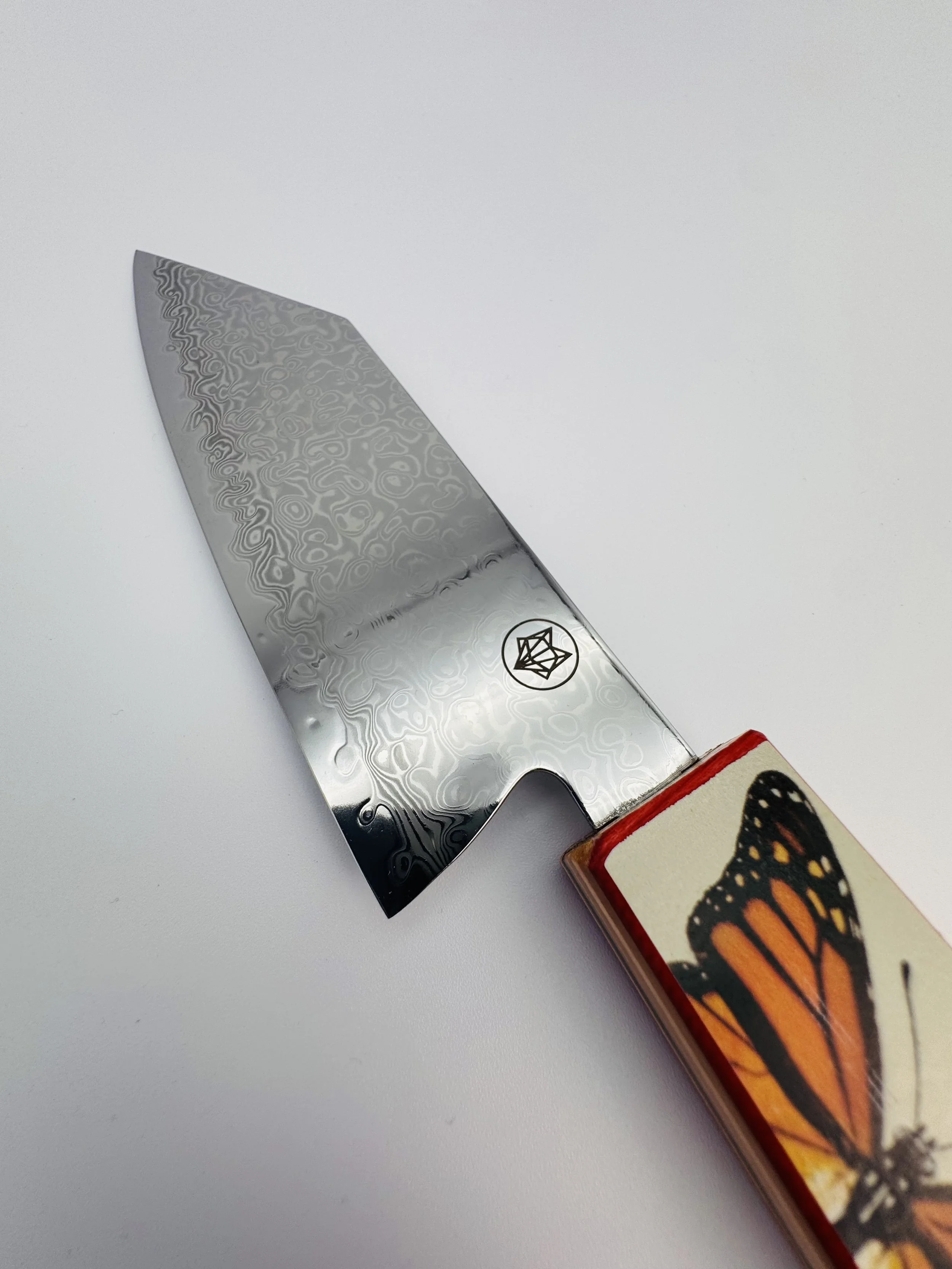 Flutter Bunka (2).jpeg