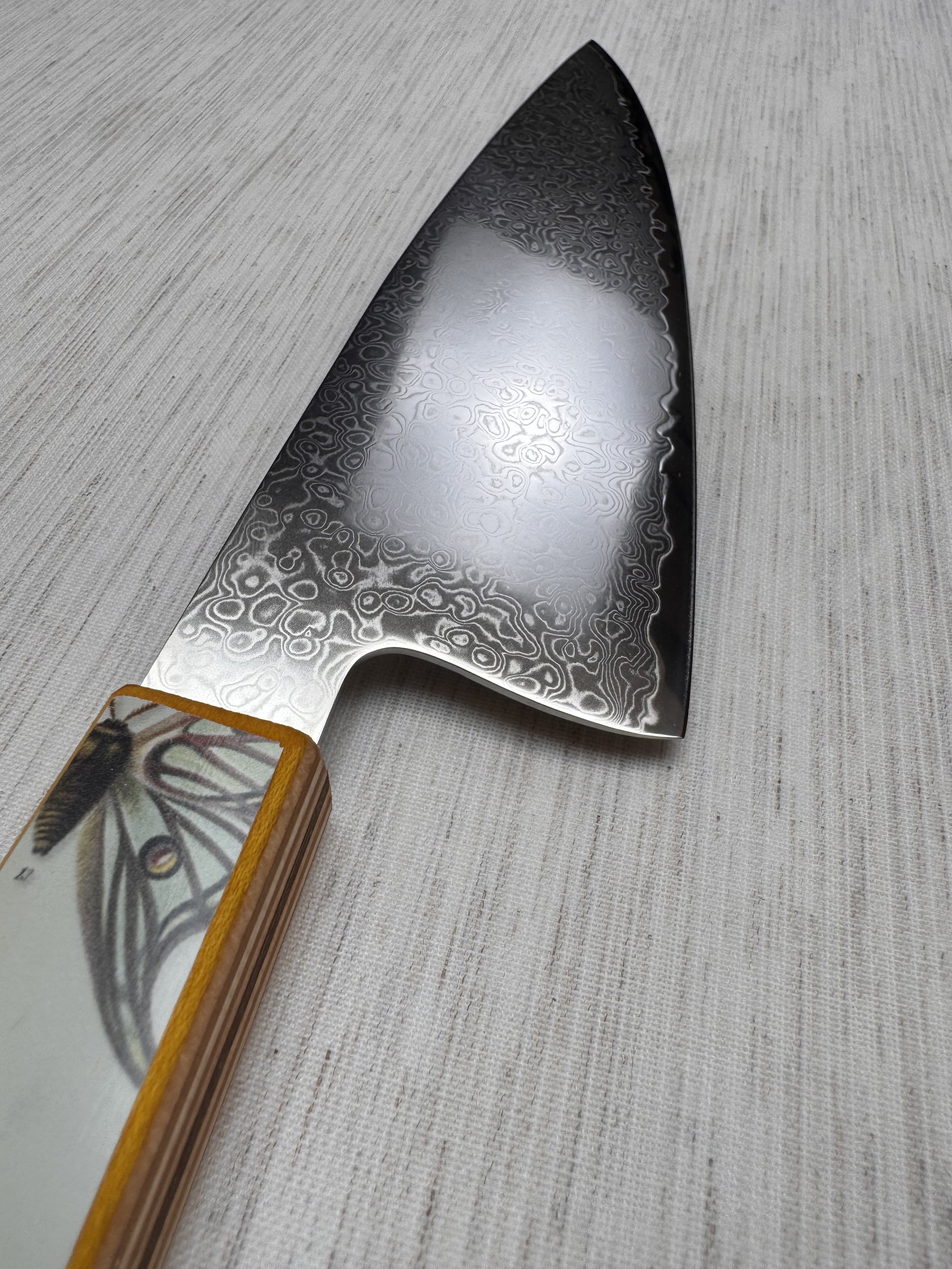 Flutter Gyuto 8_ (2).jpeg