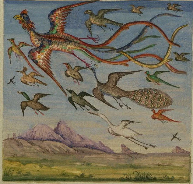 Colorful painting of various flying mythical and real birds above mountains and grassy landscape.