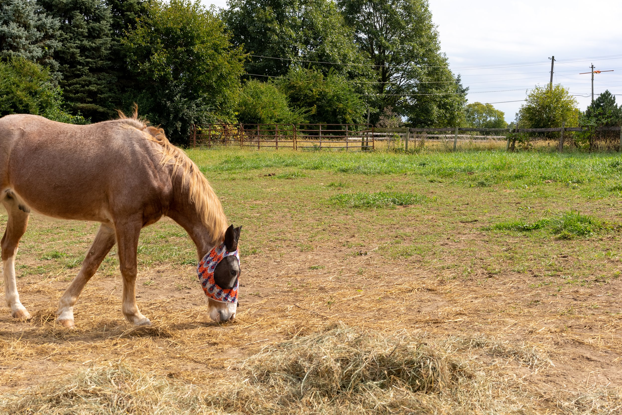 9.24.2022 (24 of 27).jpg