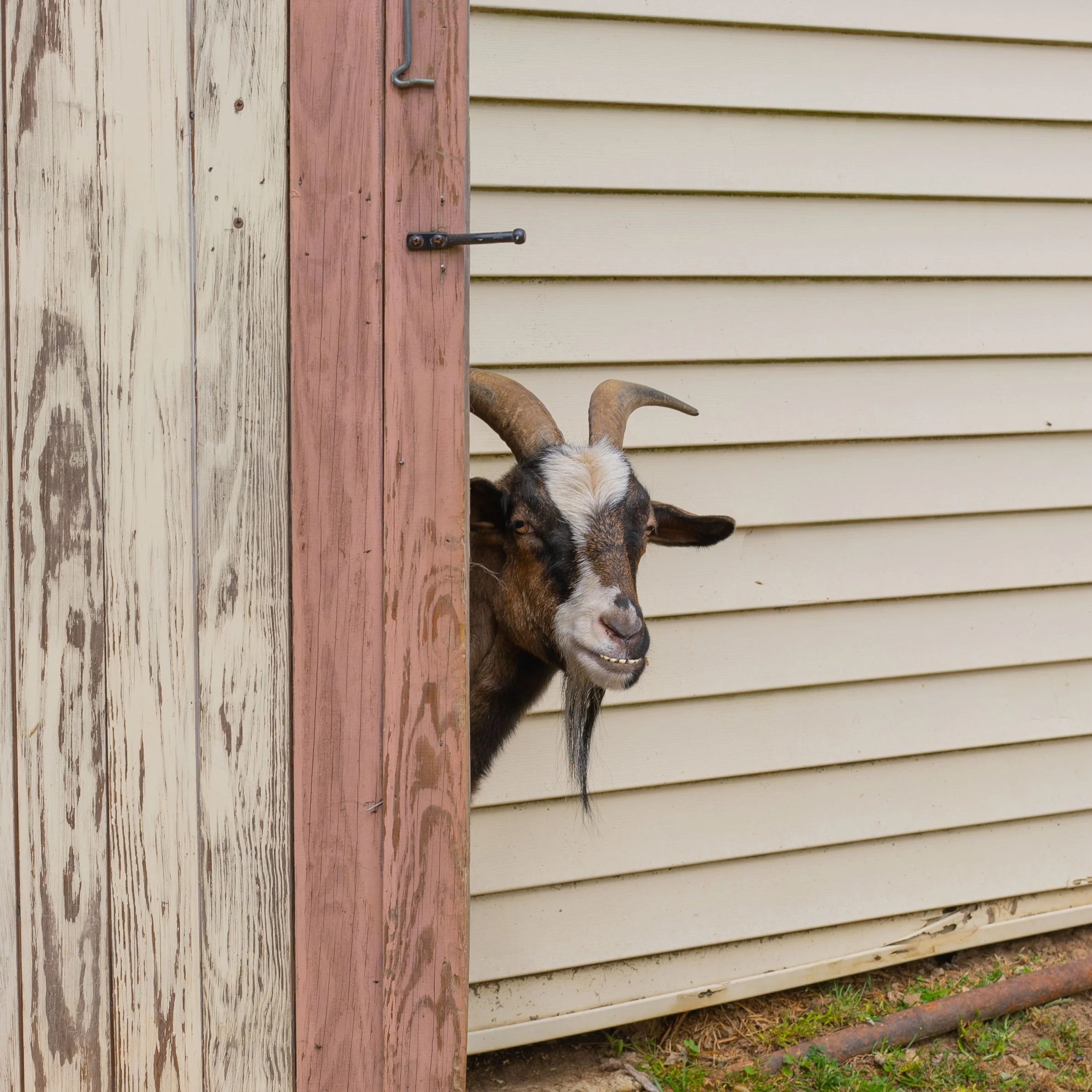 9.24.2022 (22 of 27).jpg