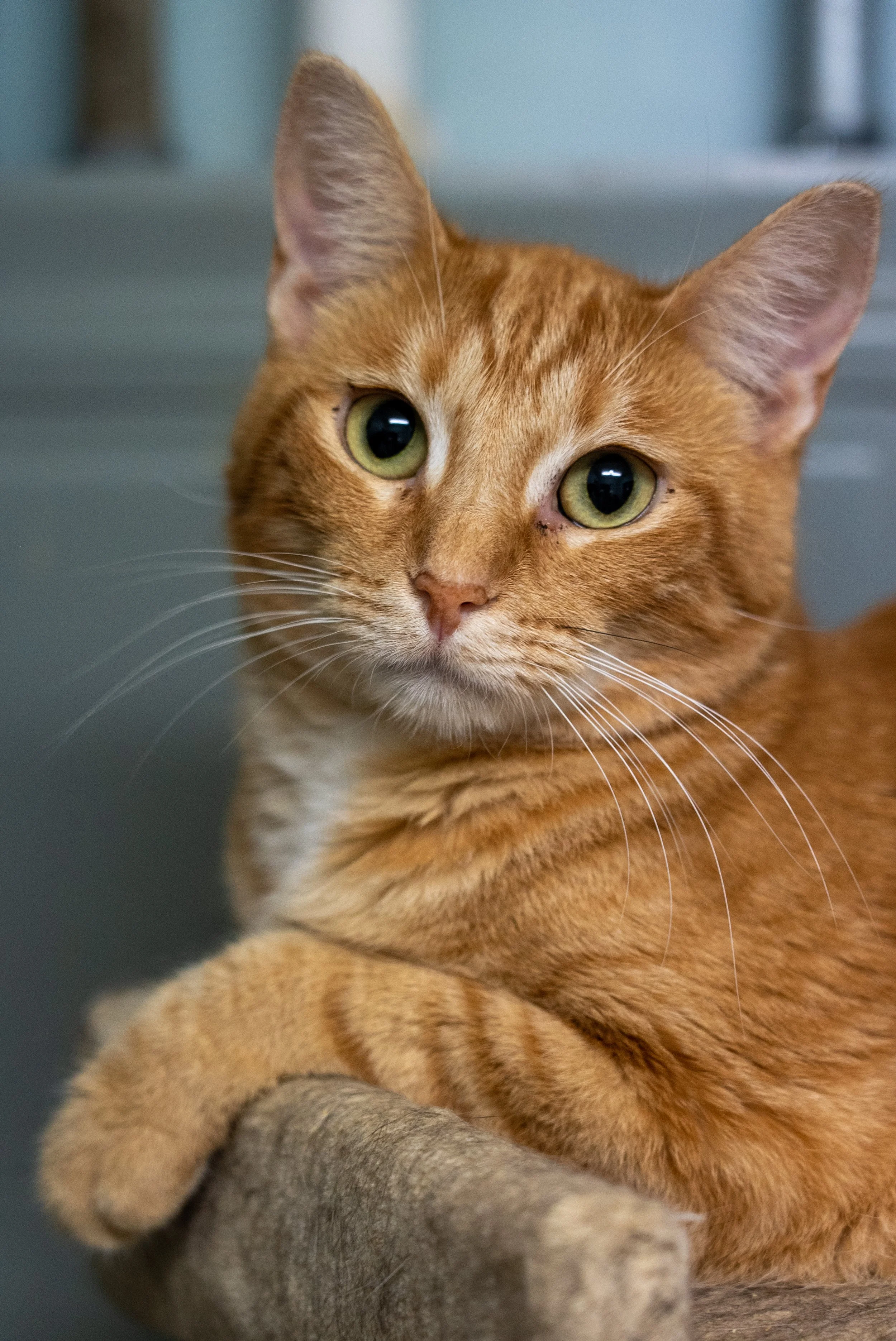 8.13.2022 (14 of 31).jpg