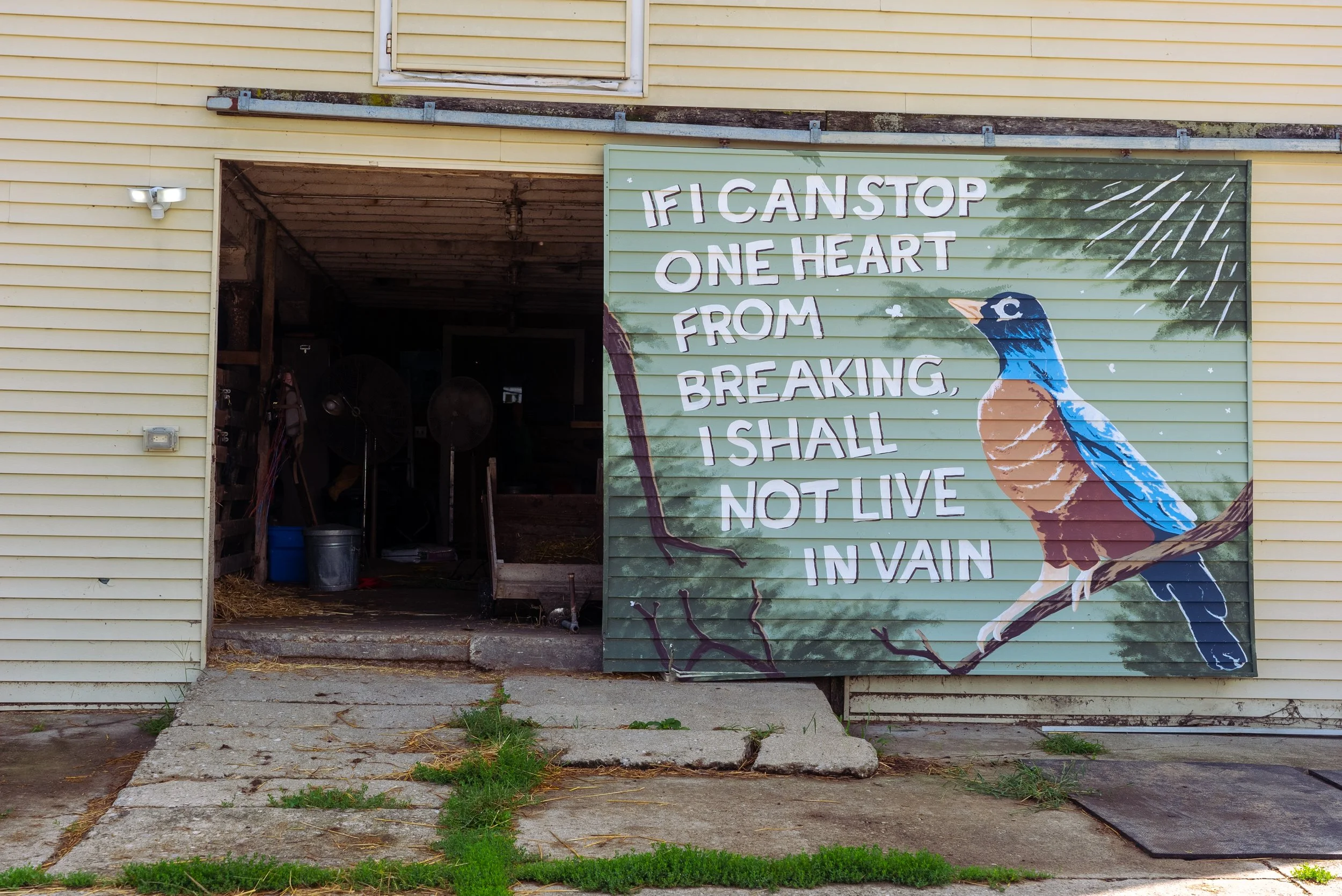 OFS.8.7.22 (3 of 16).jpg