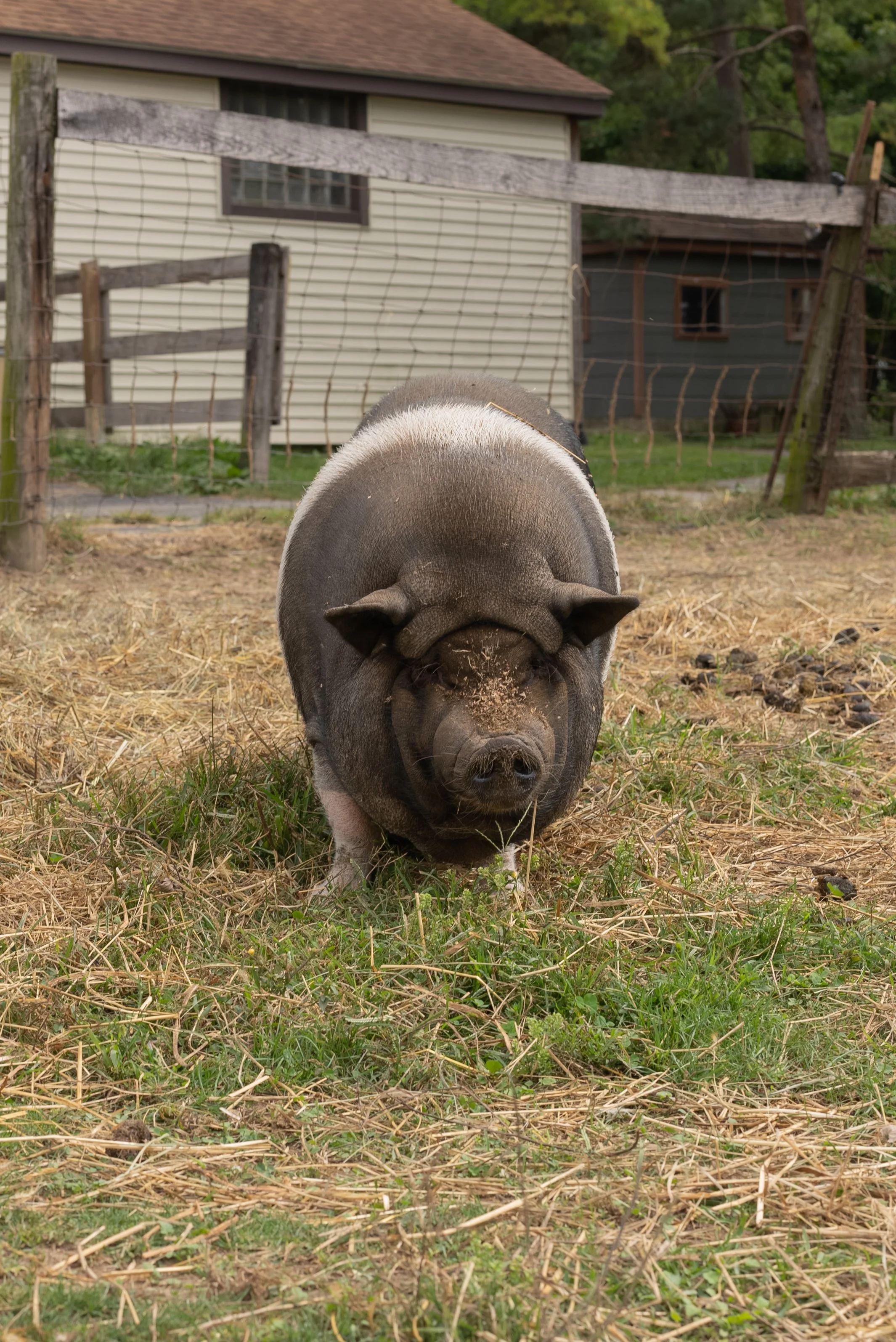 9.24.2022 (21 of 27).jpg