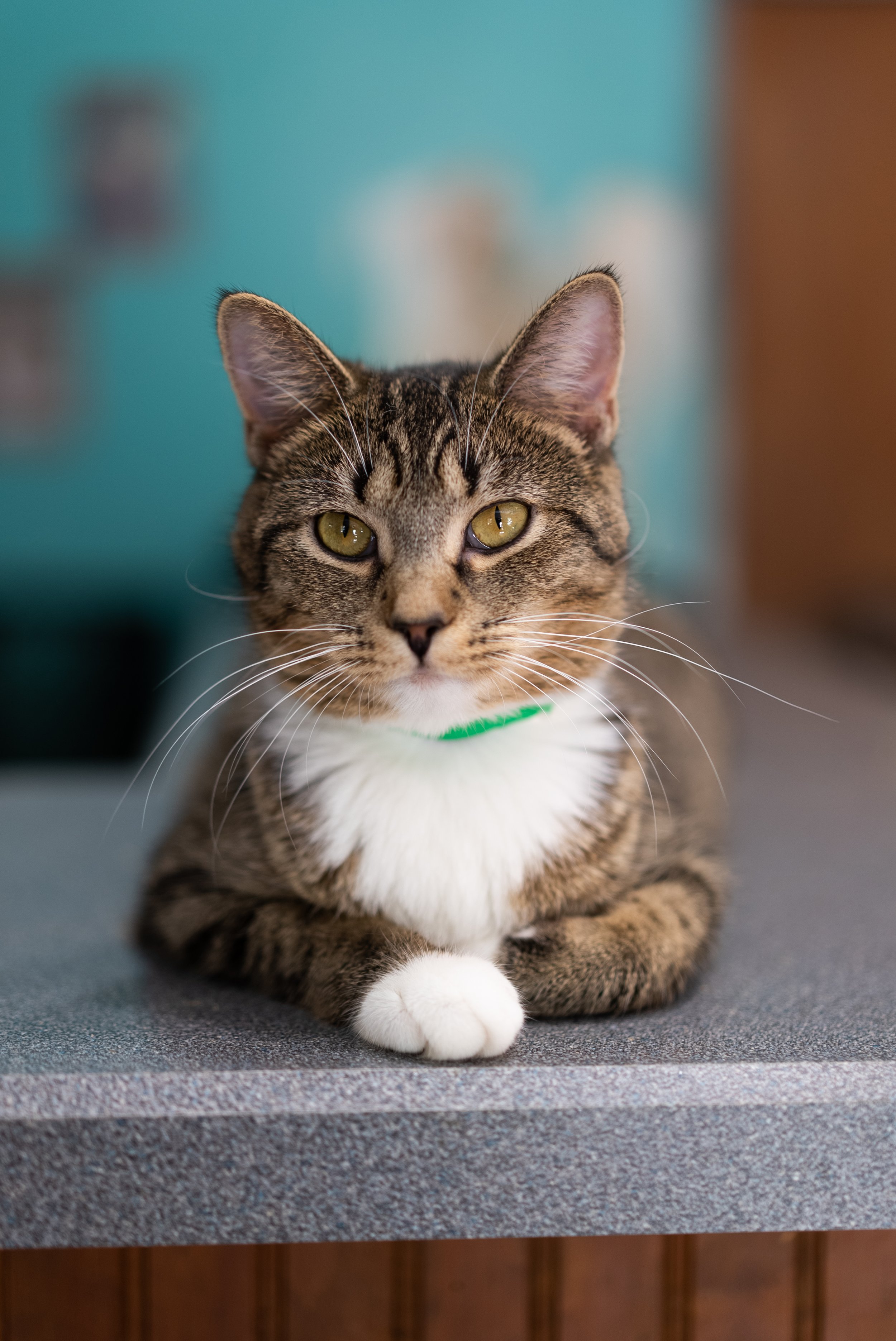 9.18.2022 (19 of 26).jpg