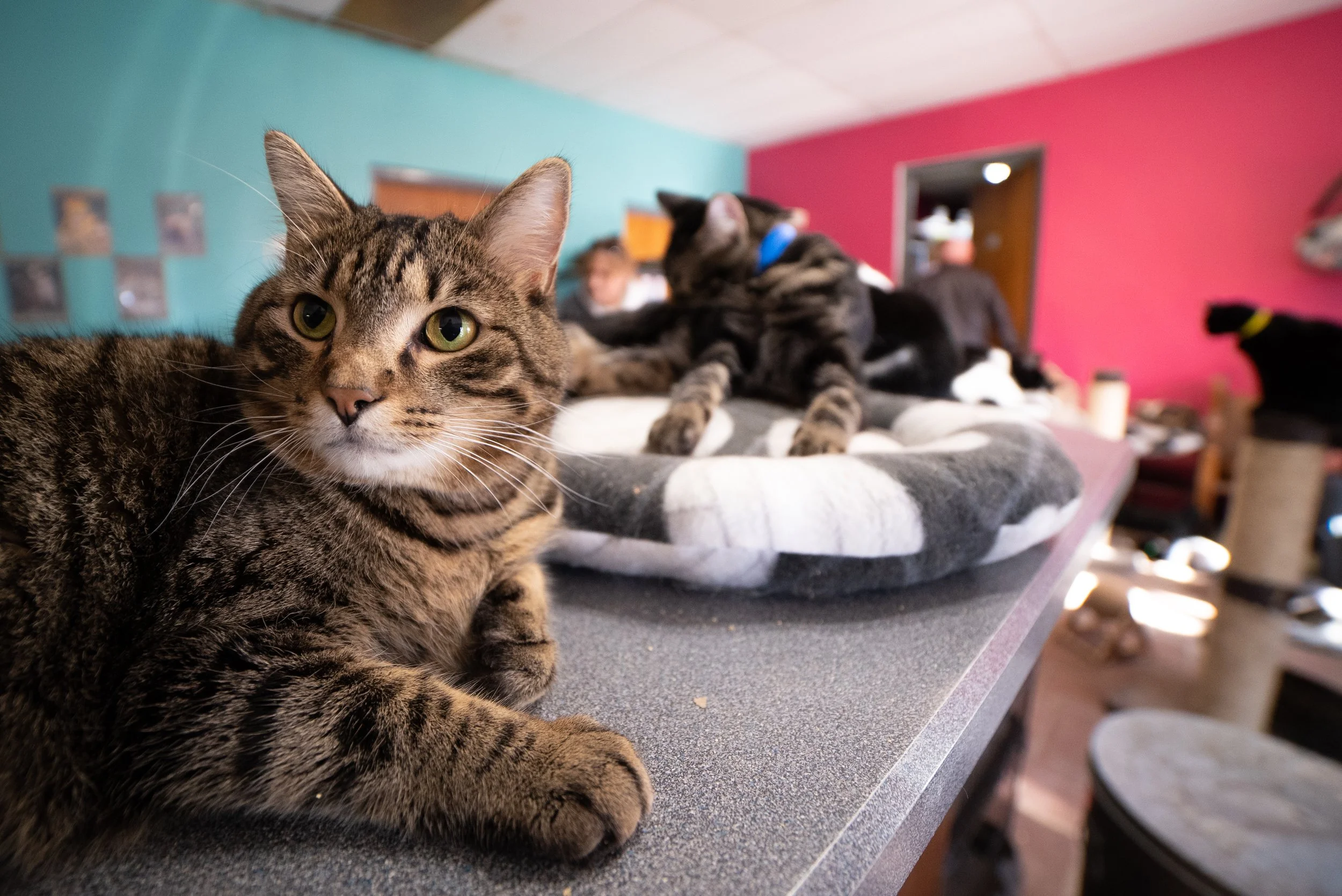 12.3.22 (2 of 9).jpg