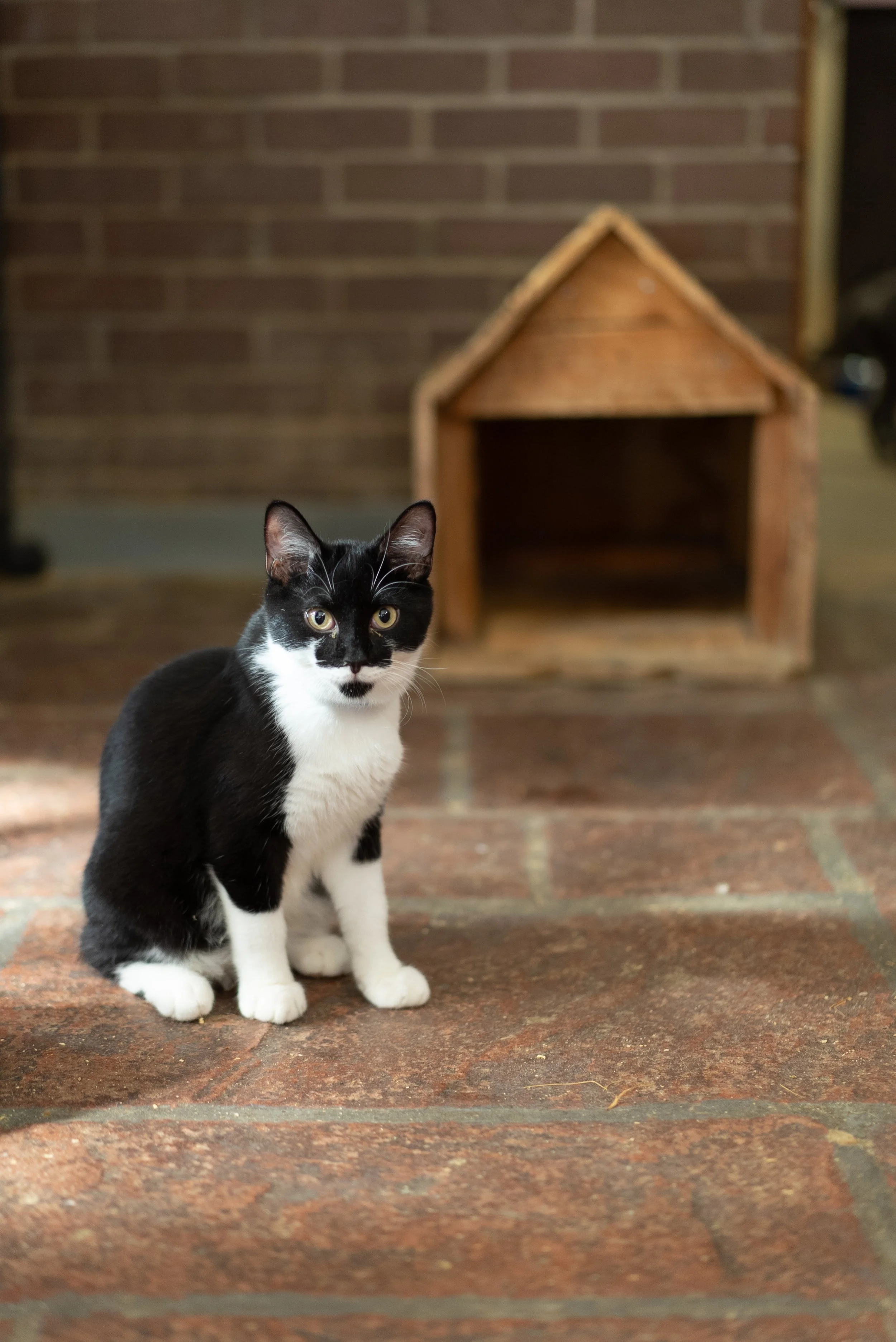 10.15.2022 (12 of 19).jpg