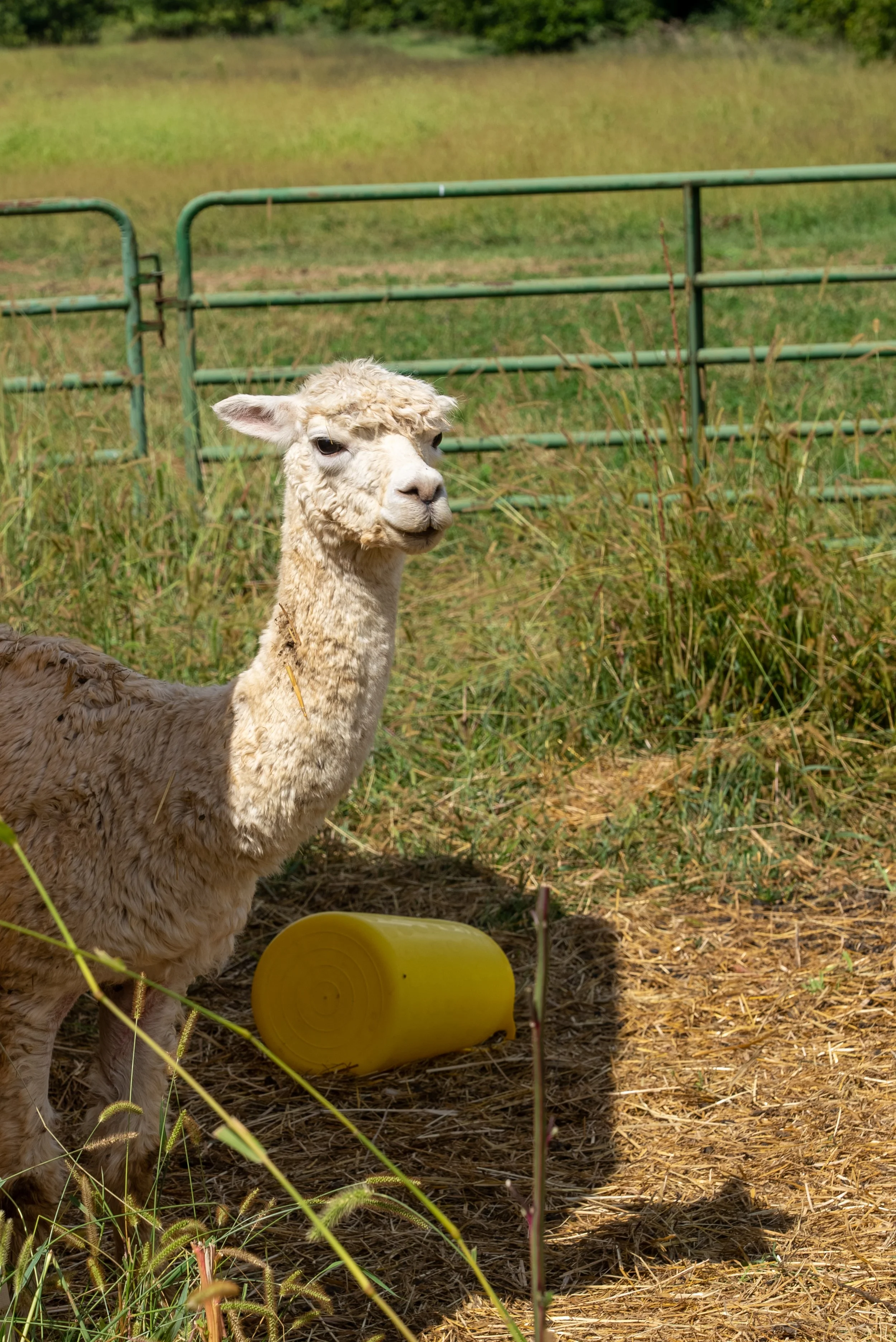 8.27.2022 (22 of 22).jpg