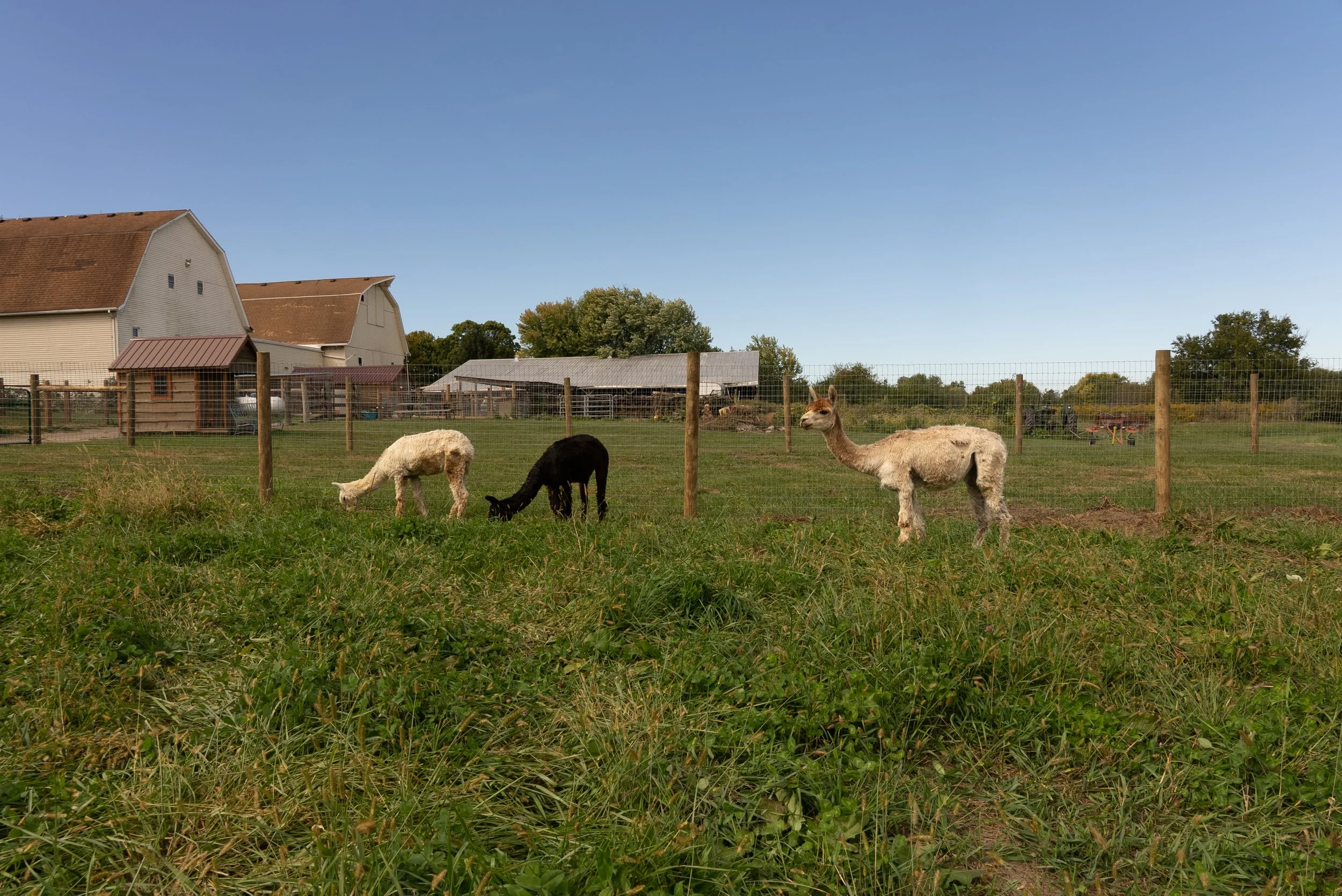 10.01.2022 (31 of 35).jpg