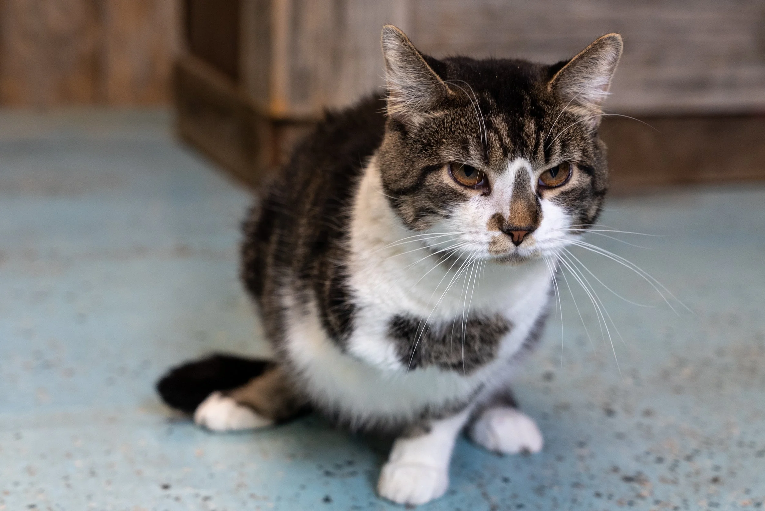 8.21.2022 (4 of 25).jpg