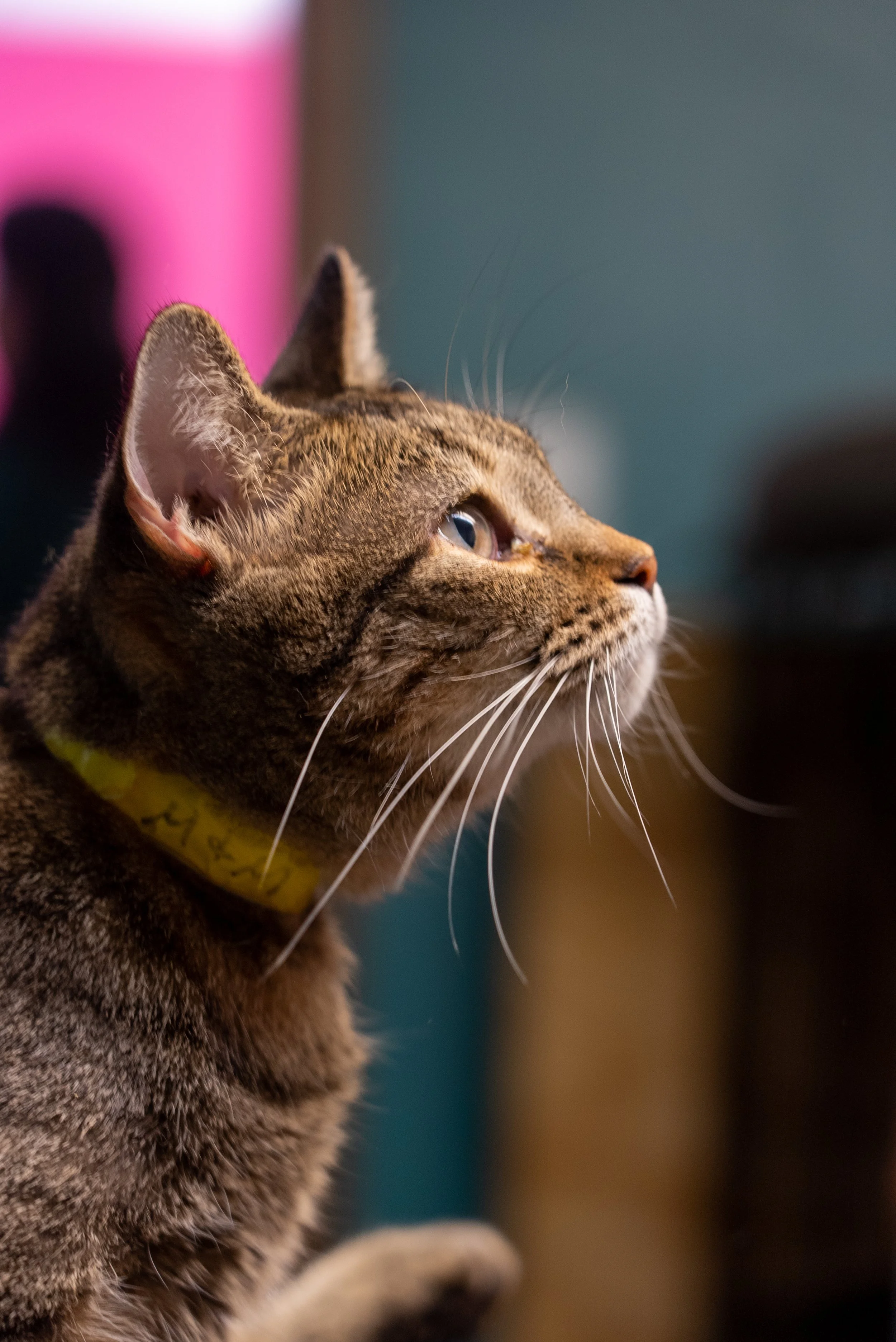 8.27.2022 (5 of 22).jpg