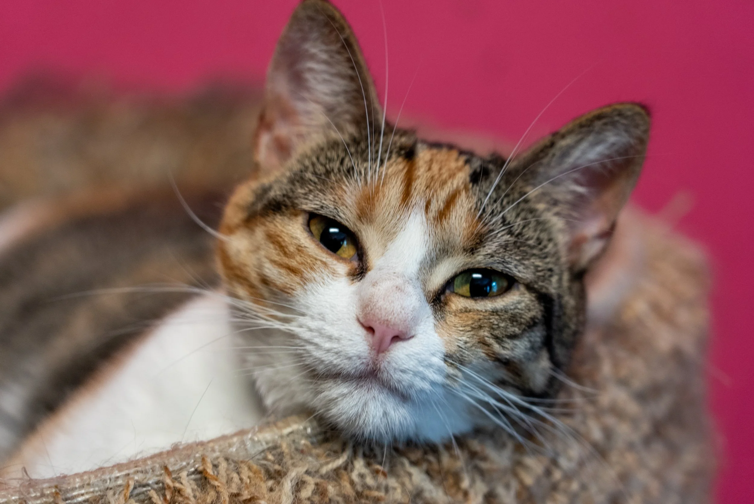 OFS.8.7.22 (13 of 16).jpg