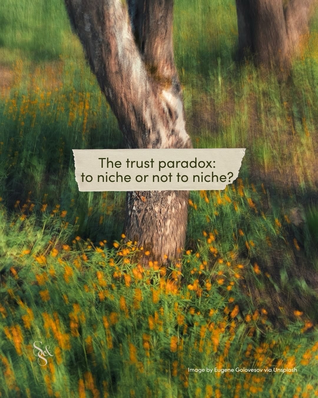To niche or not to niche? It&rsquo;s the question we get asked the most. >>> Swipe to find out our answer always is! 
Our latest blog post ✨Why playing it safe is the riskiest thing your brand can do ✨is a must-read. We&rsquo;ll pop the link