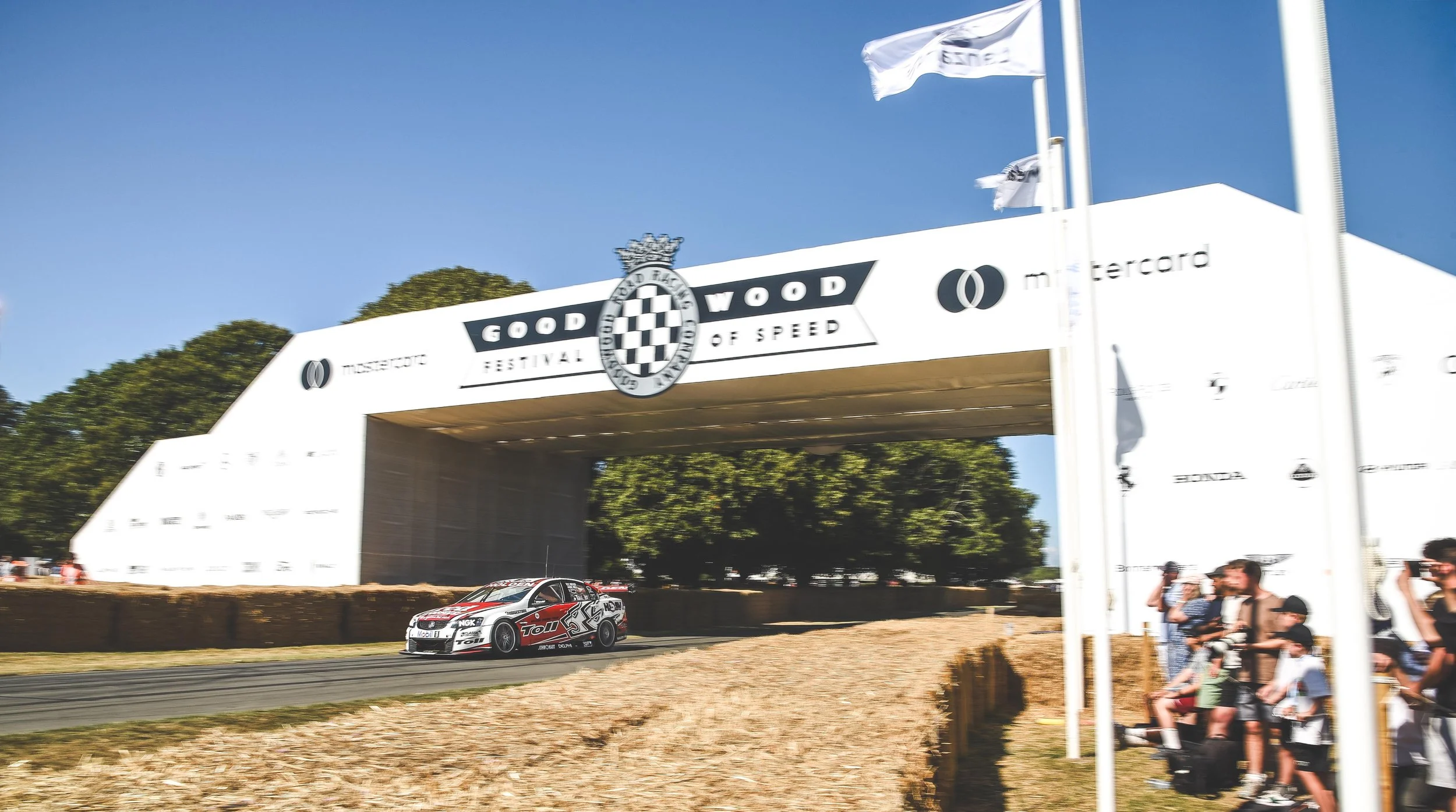 D75_4243 2 copy small.jpg