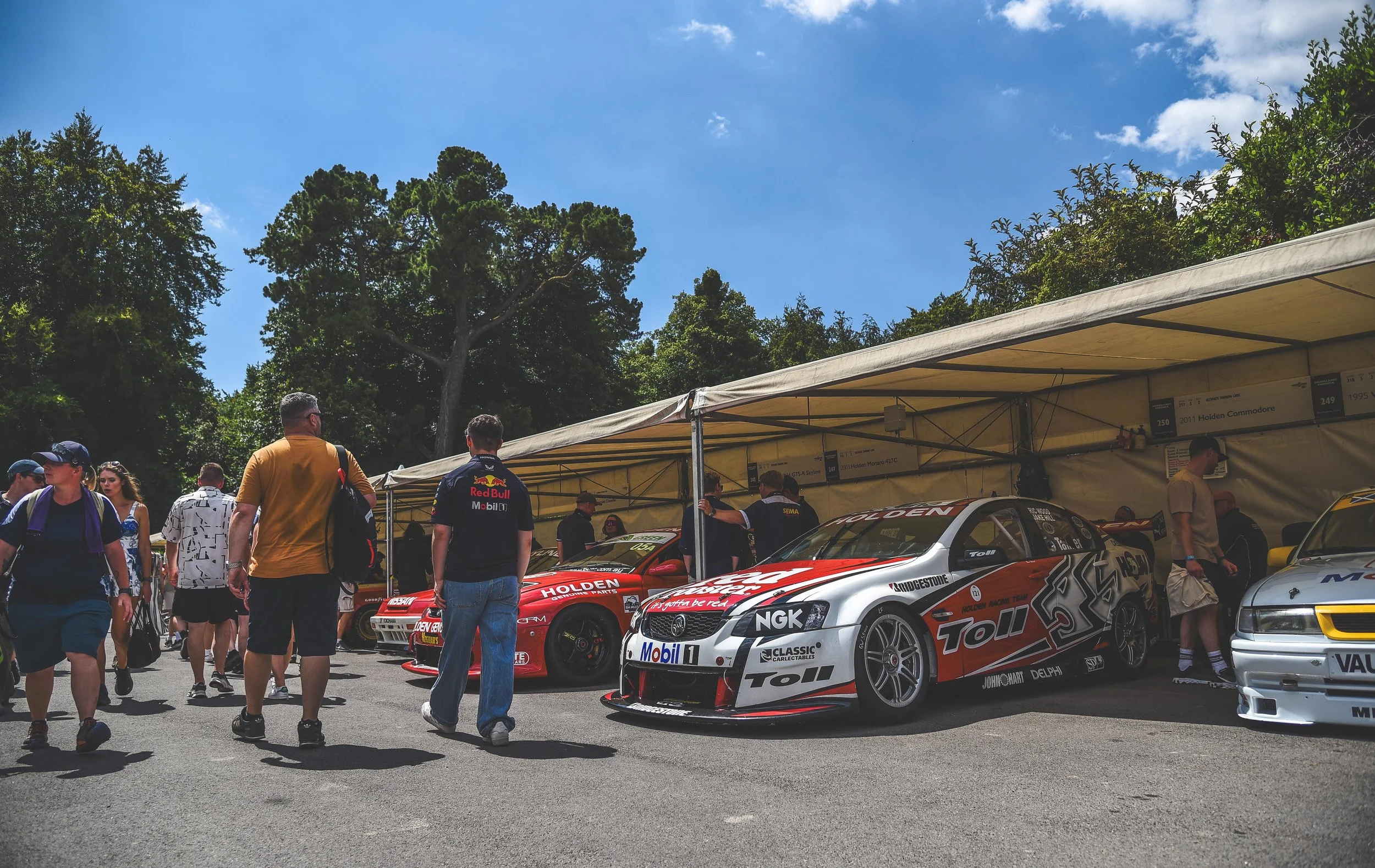 D75_2671 copy small.jpg