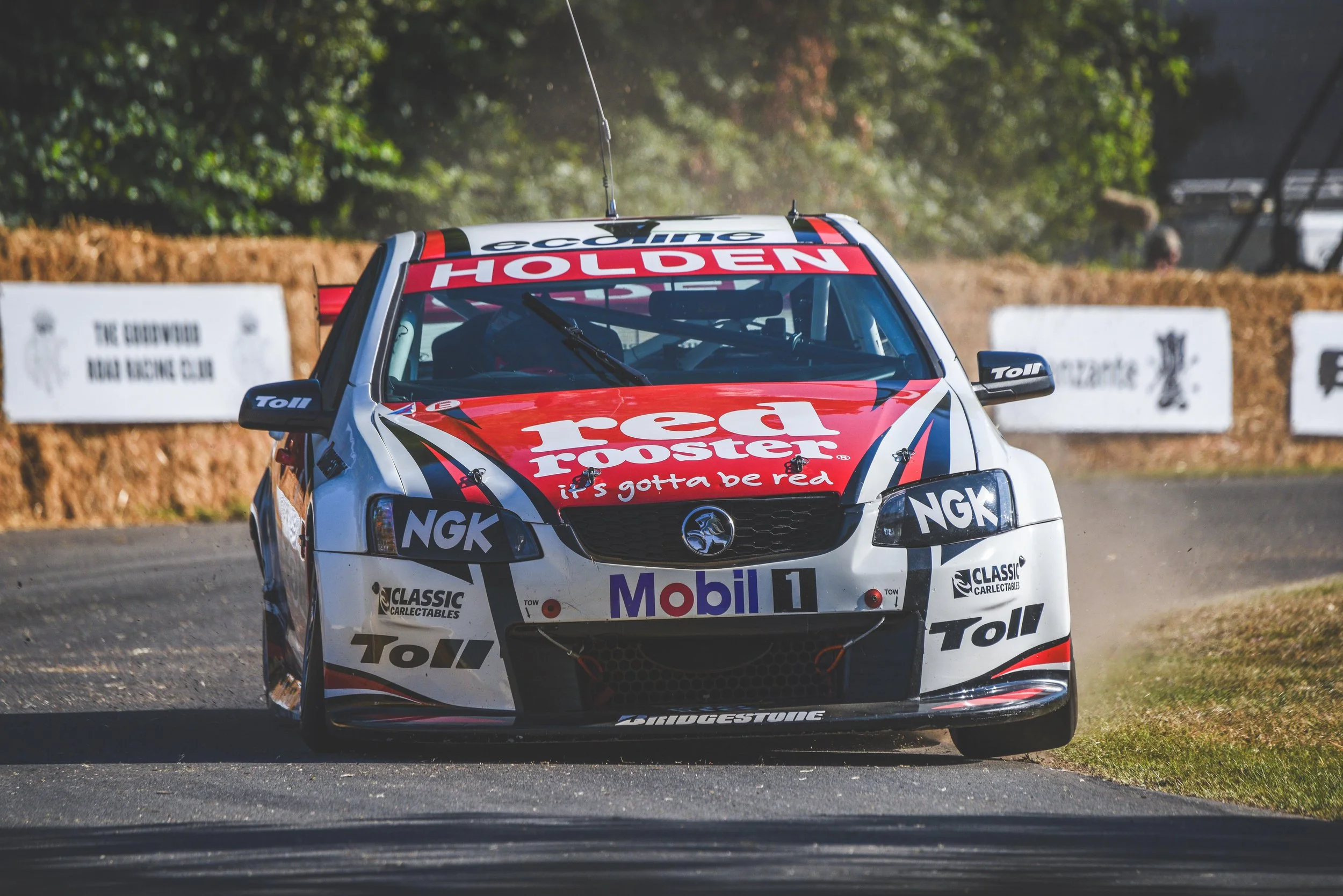 D81_9909-1 copy small.jpg