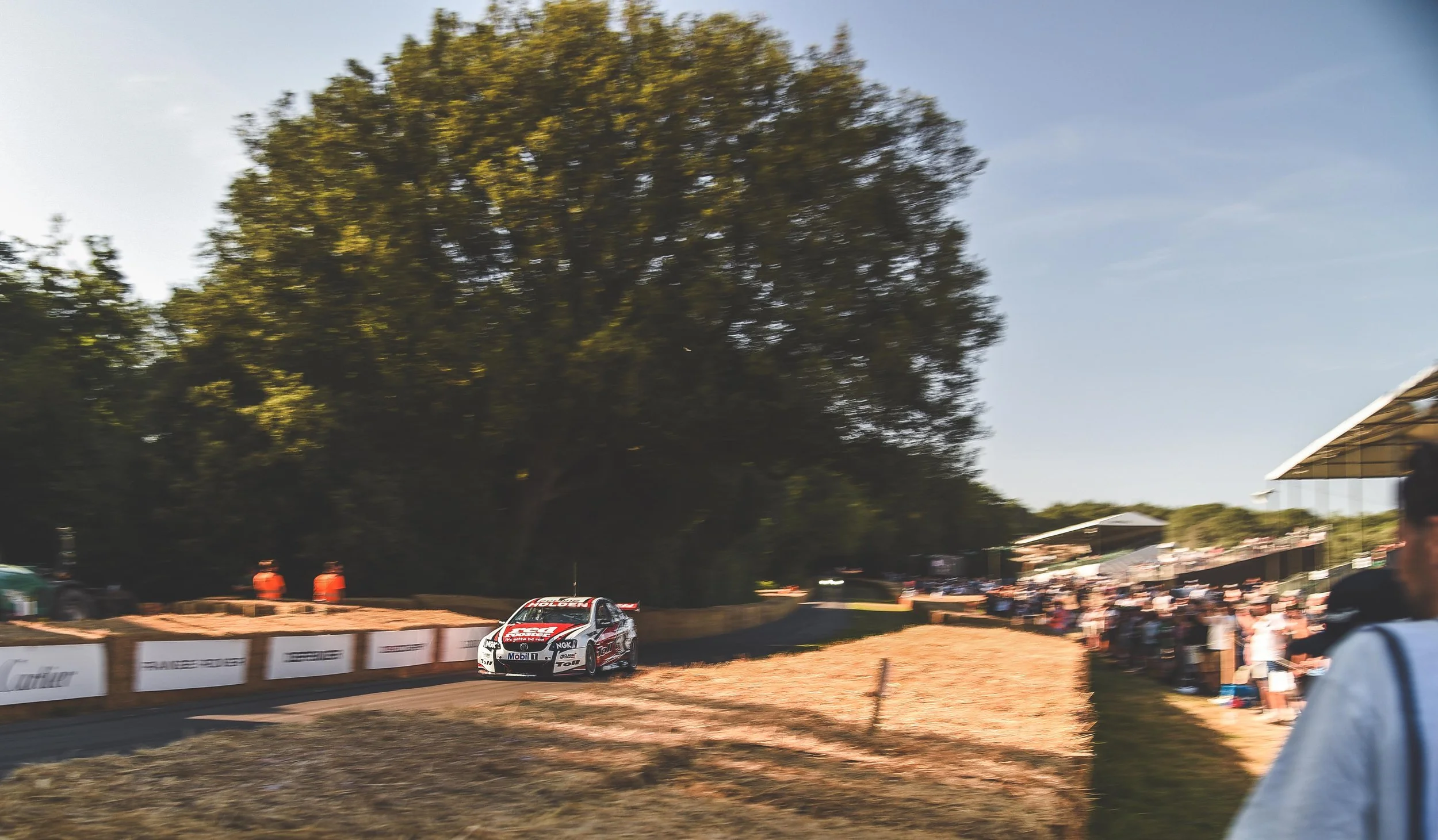 D75_3490 copy small.jpg