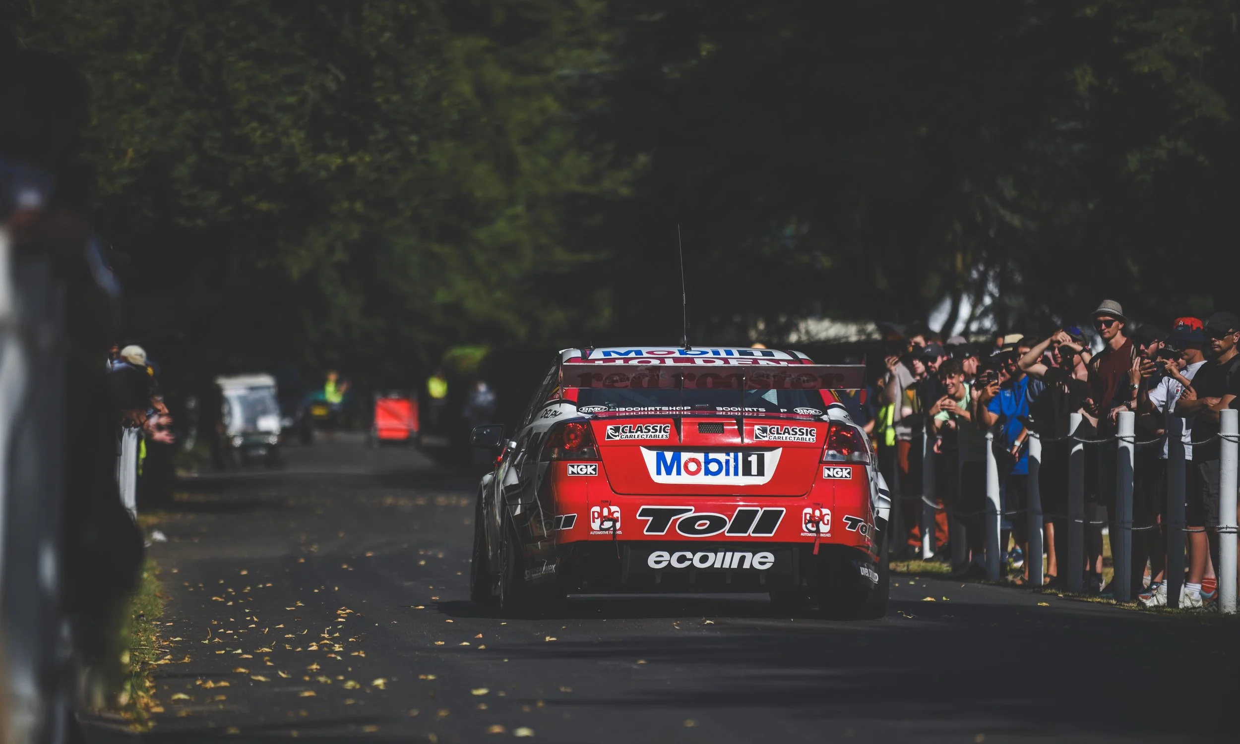 D81_0145 copy small.jpg