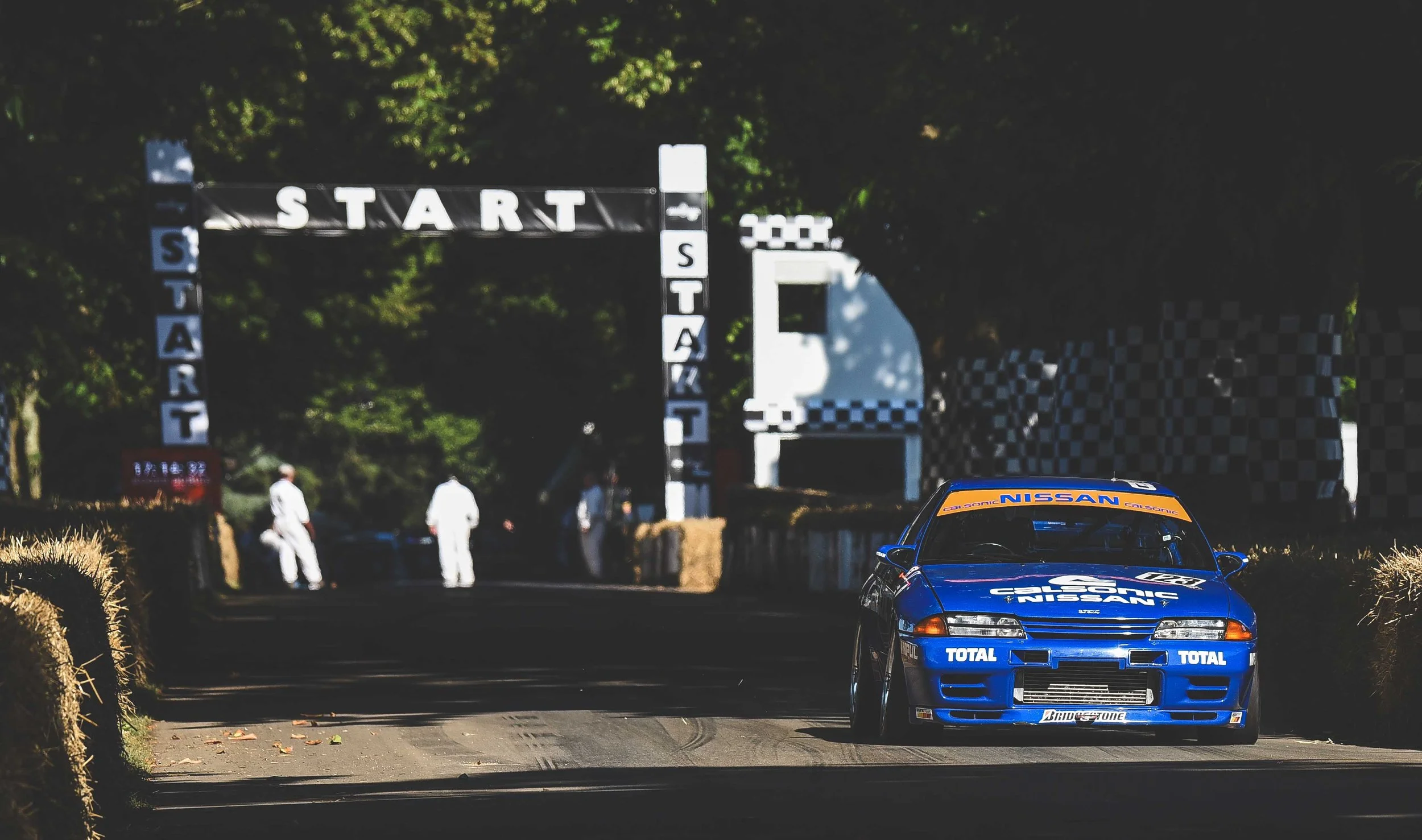 D75_2677 2 small.jpg