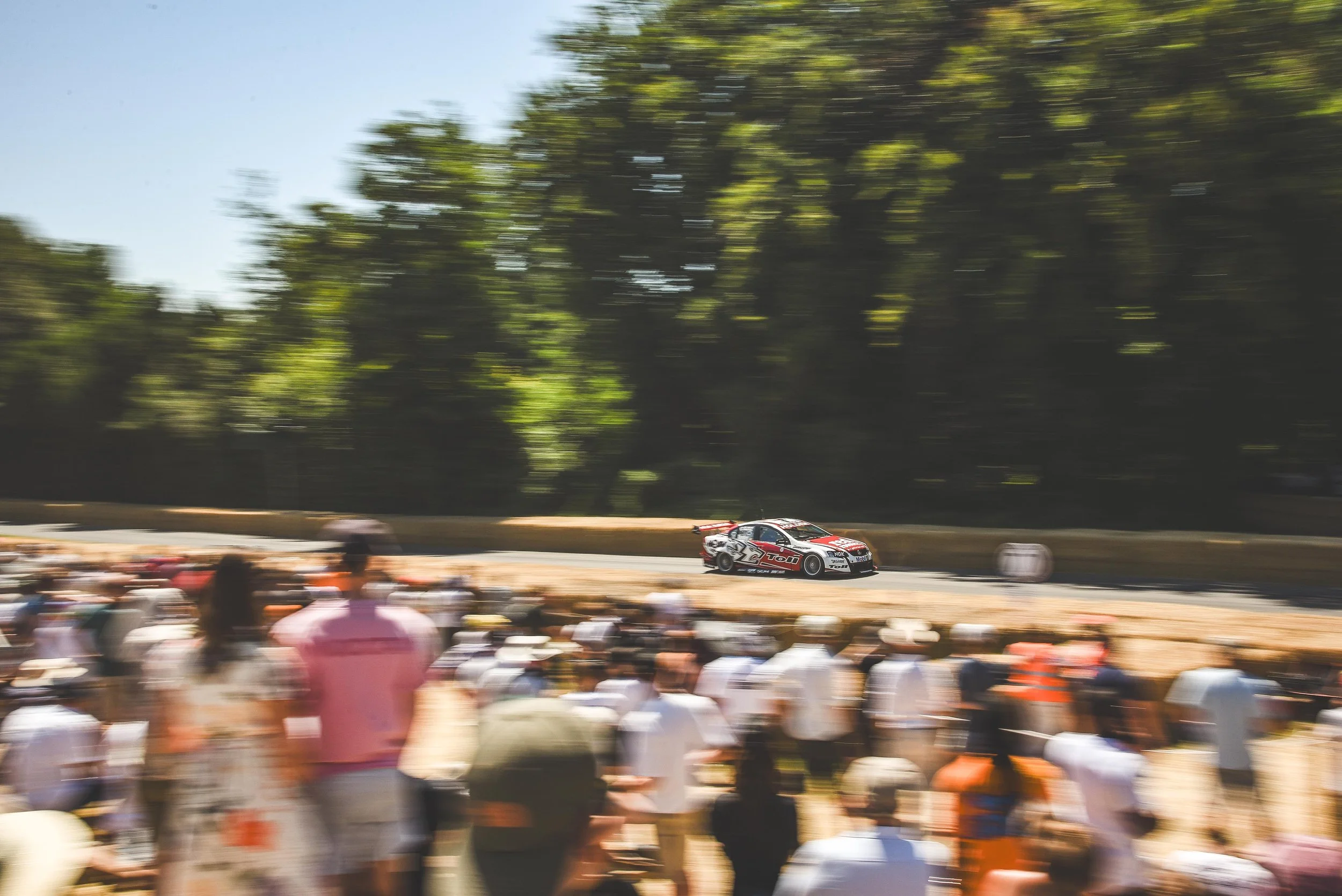 D75_4011 copy small.jpg