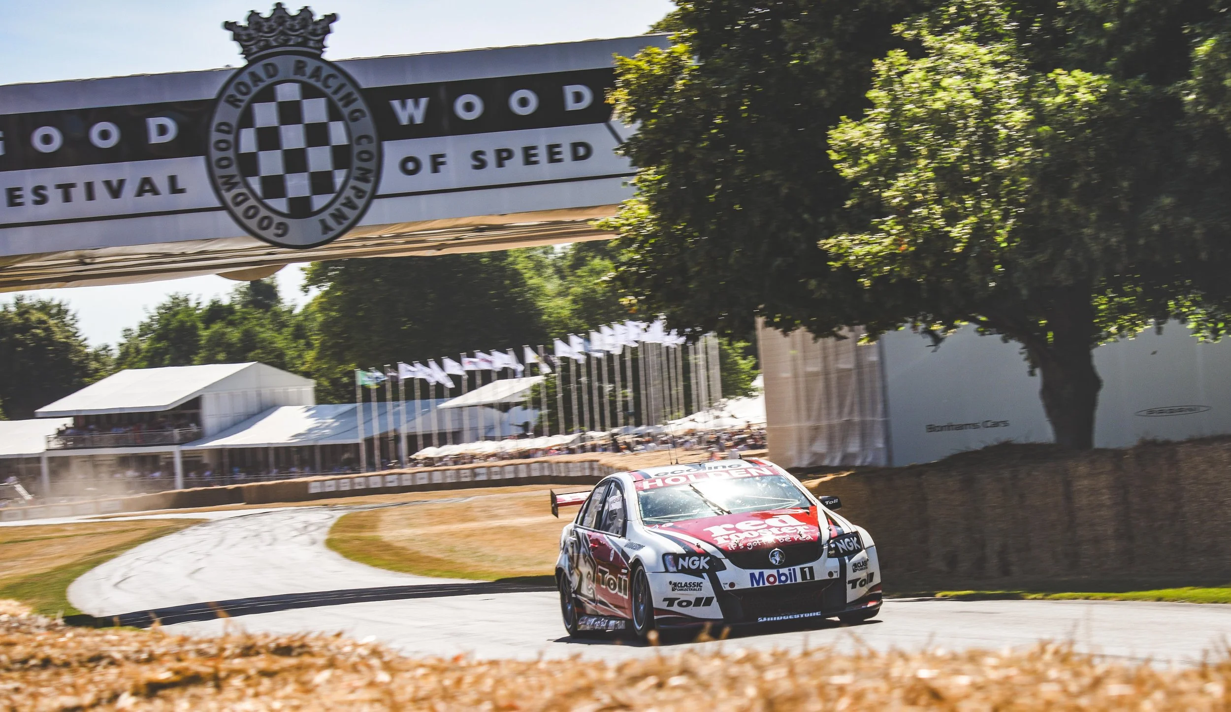 D81_0656 copy small.jpg