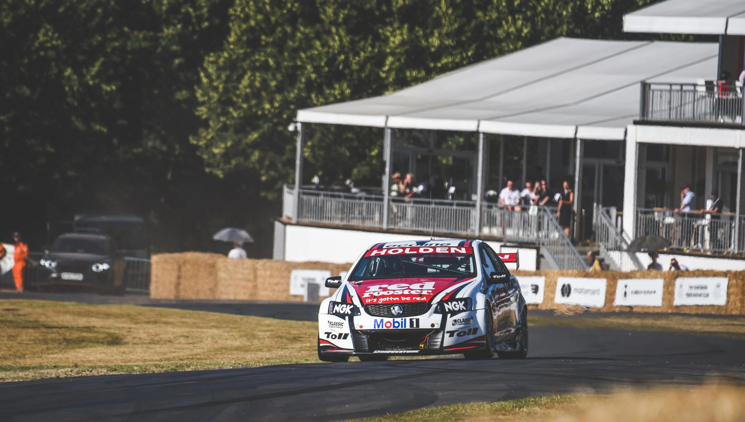 D81_0070 copy small.jpg