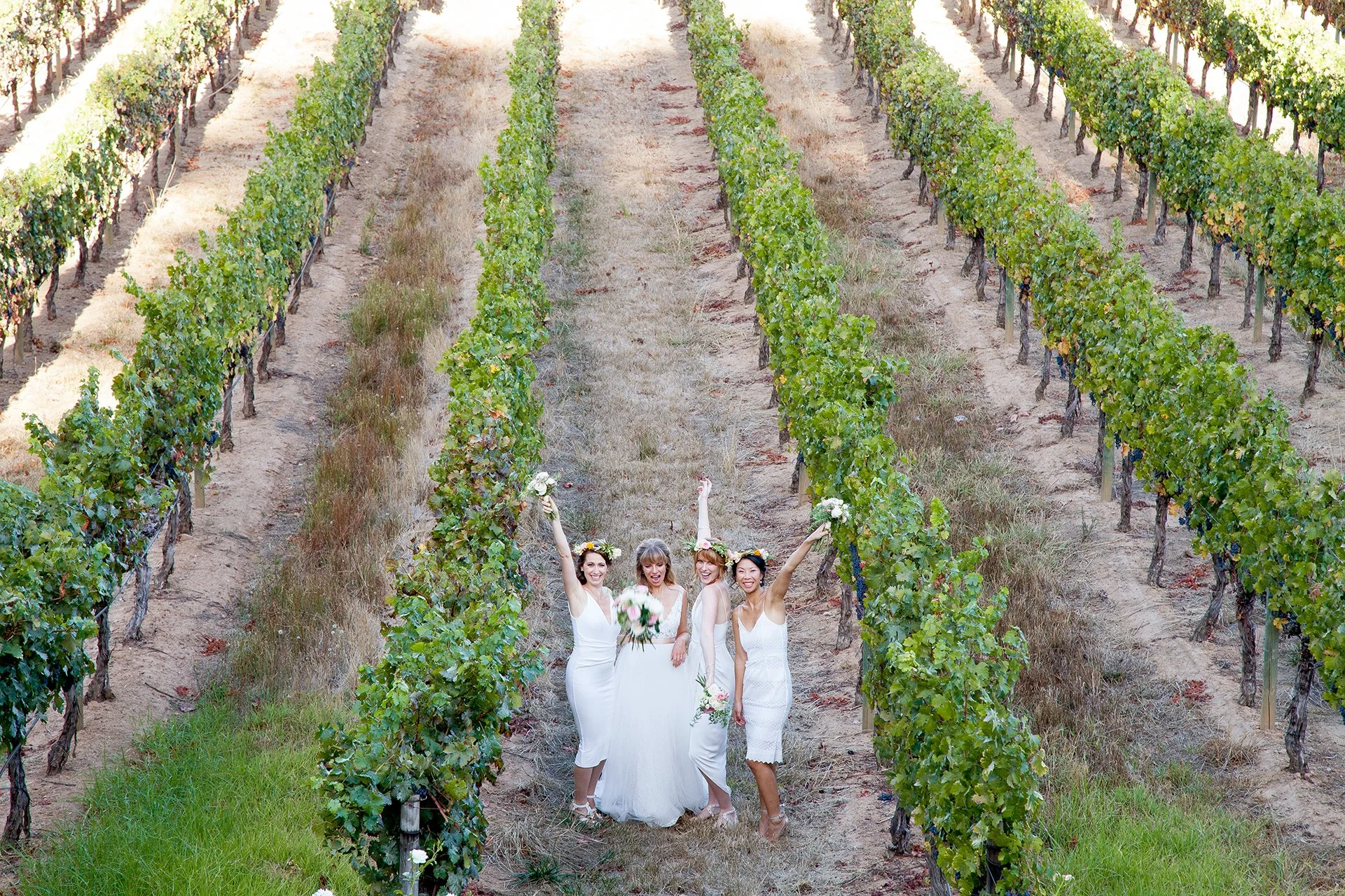 Brides and bridesmaids stood in a vineyard