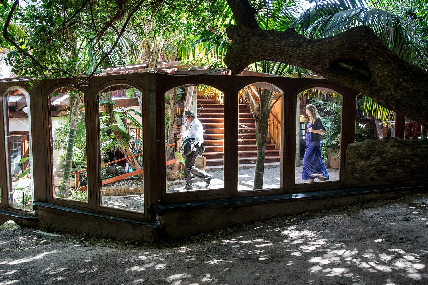 wedding guests walking underneath trees