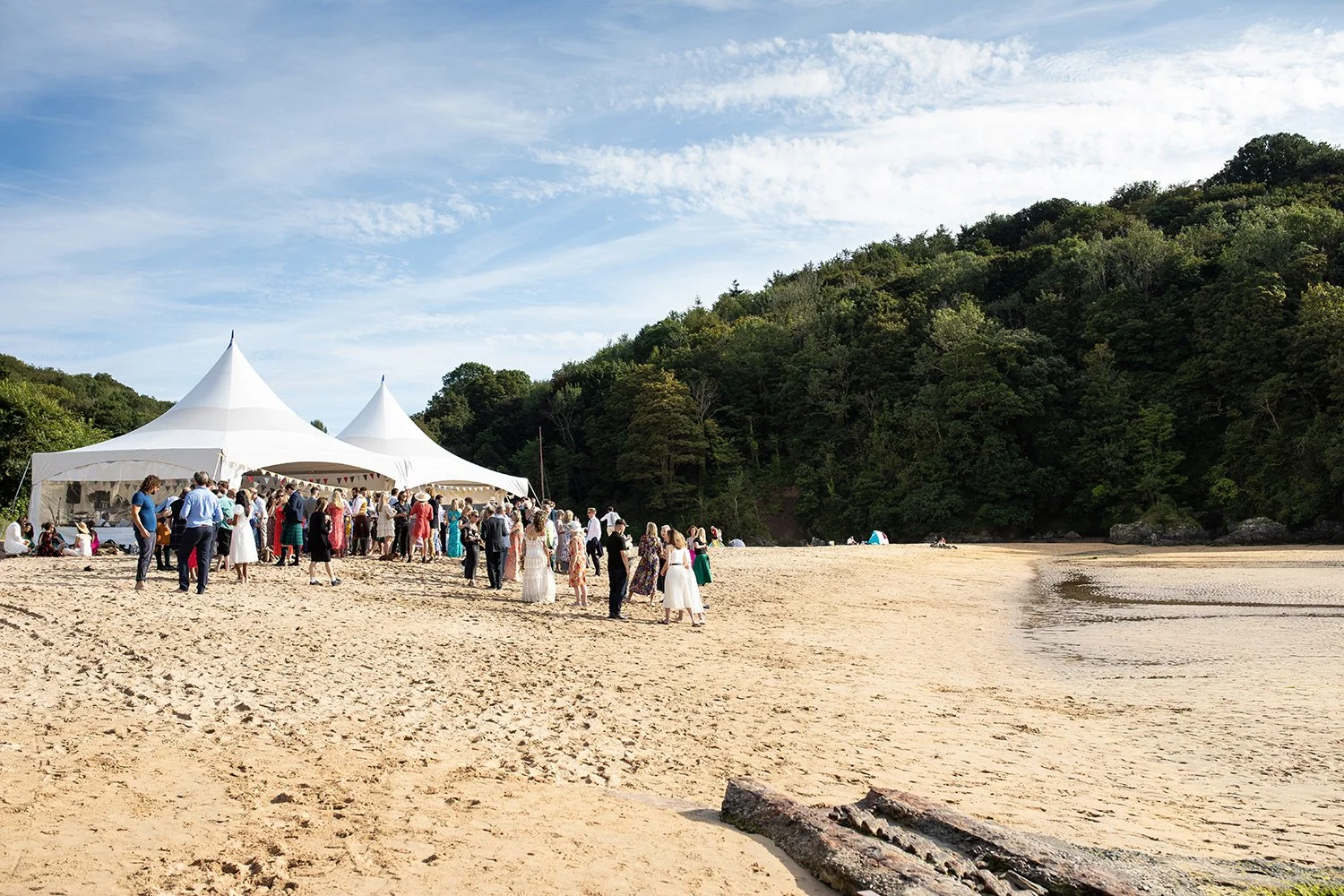 wedding party on mill bay beach in salcombe
