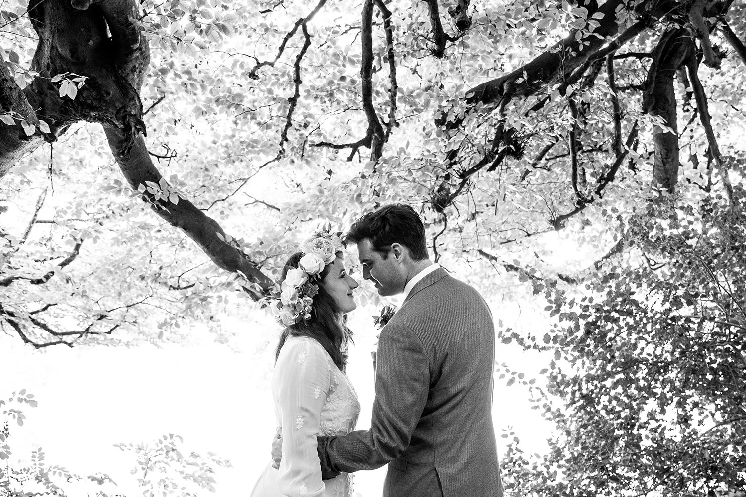 bride and groom looking at each other underneath a tree in devon