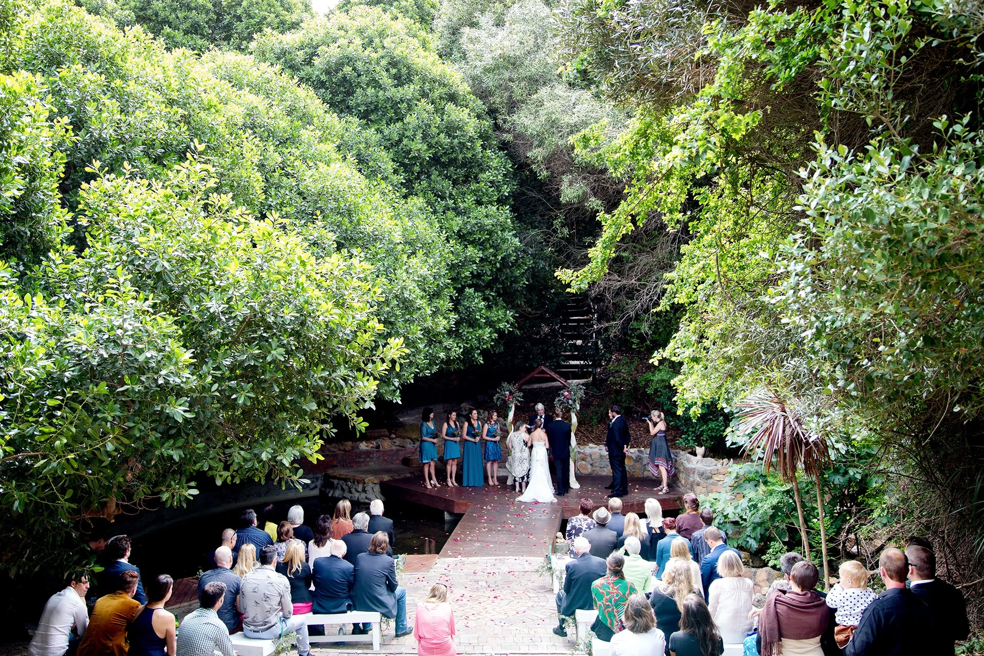 wedding ceremony underneath big trees