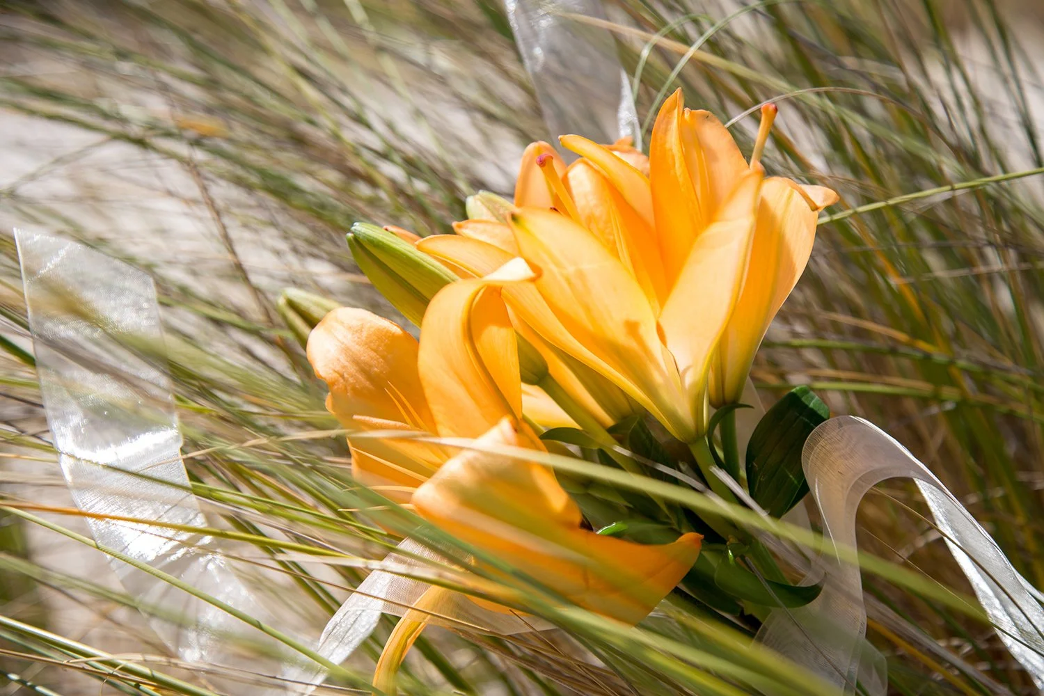wedding flowers lying in sand dunes