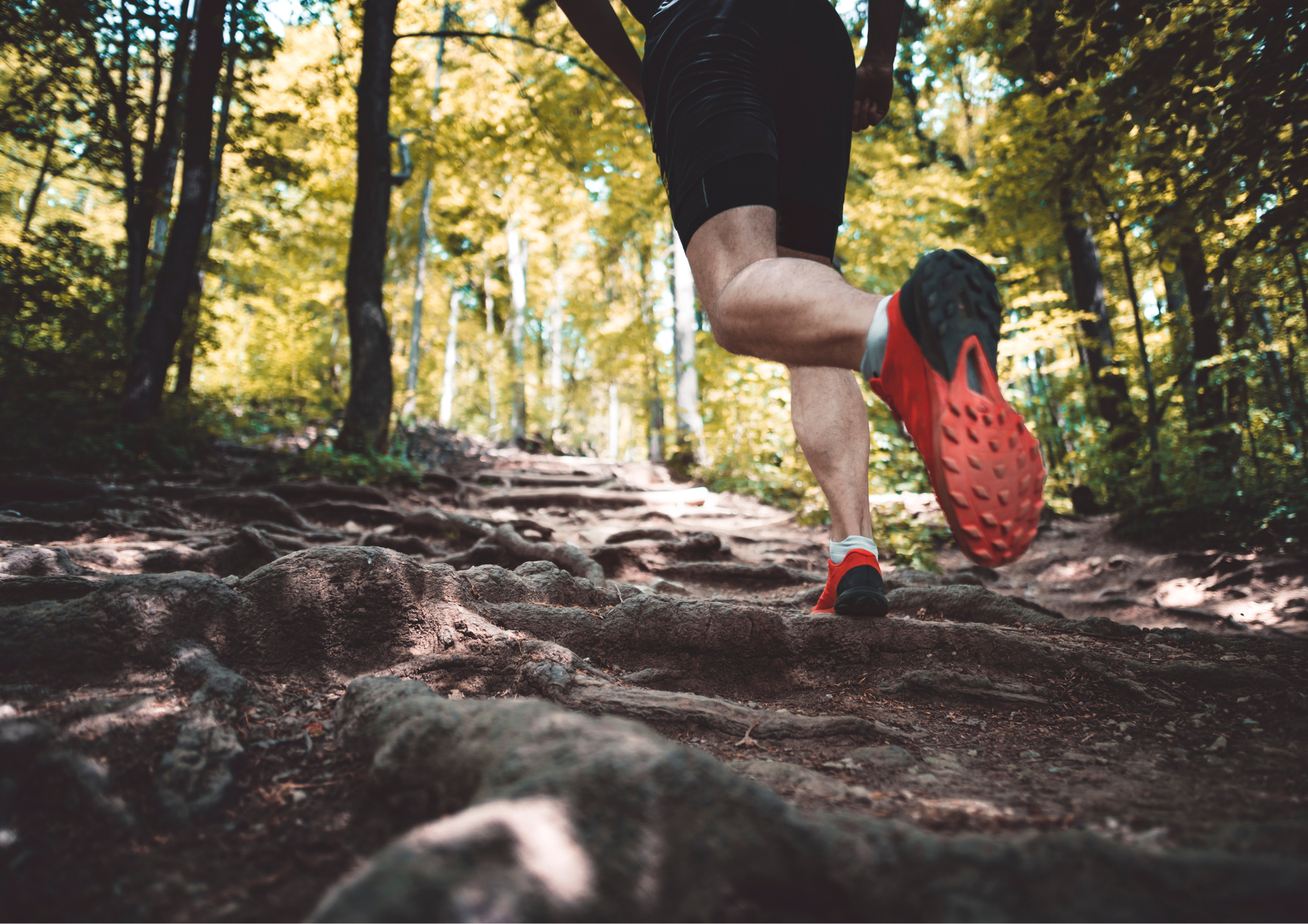 SLOTTSMÖLLANS FREDAGSLÖPNING