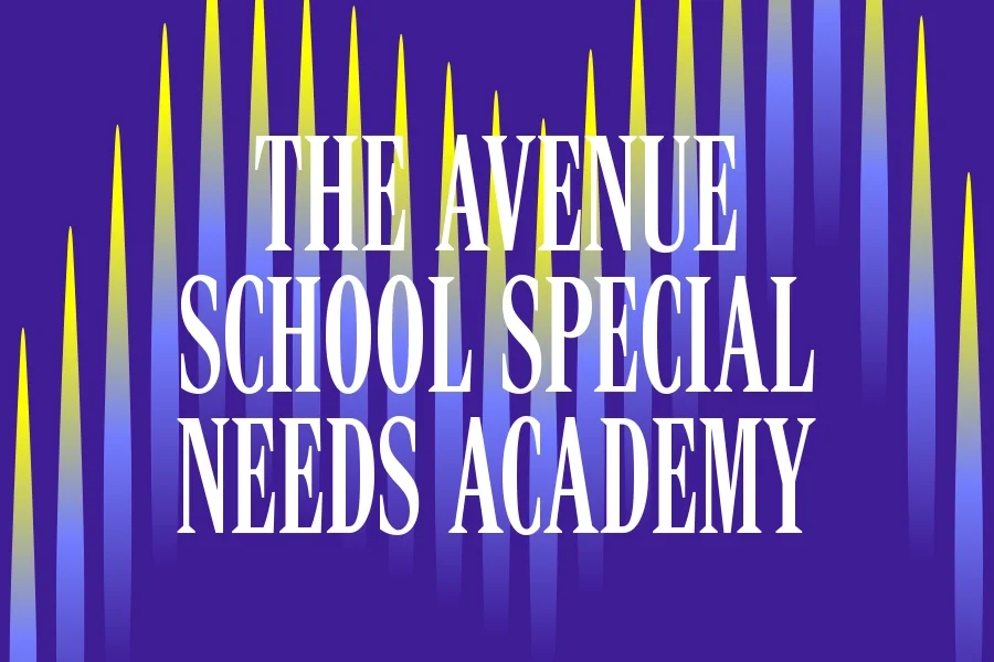 The Avenue School Special Needs Academy