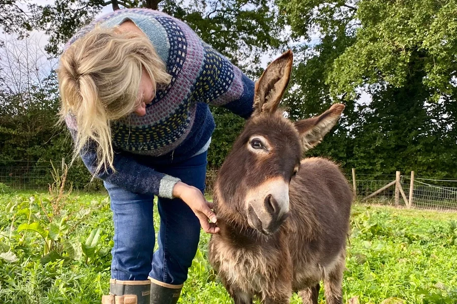 The Berkshire Animal Connection Centre
