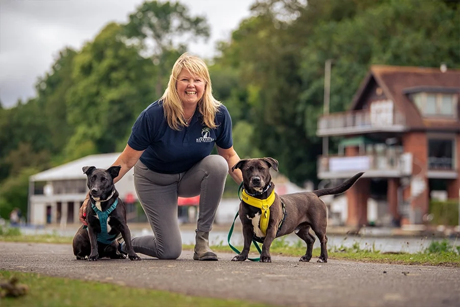 Barkshire Dog Training