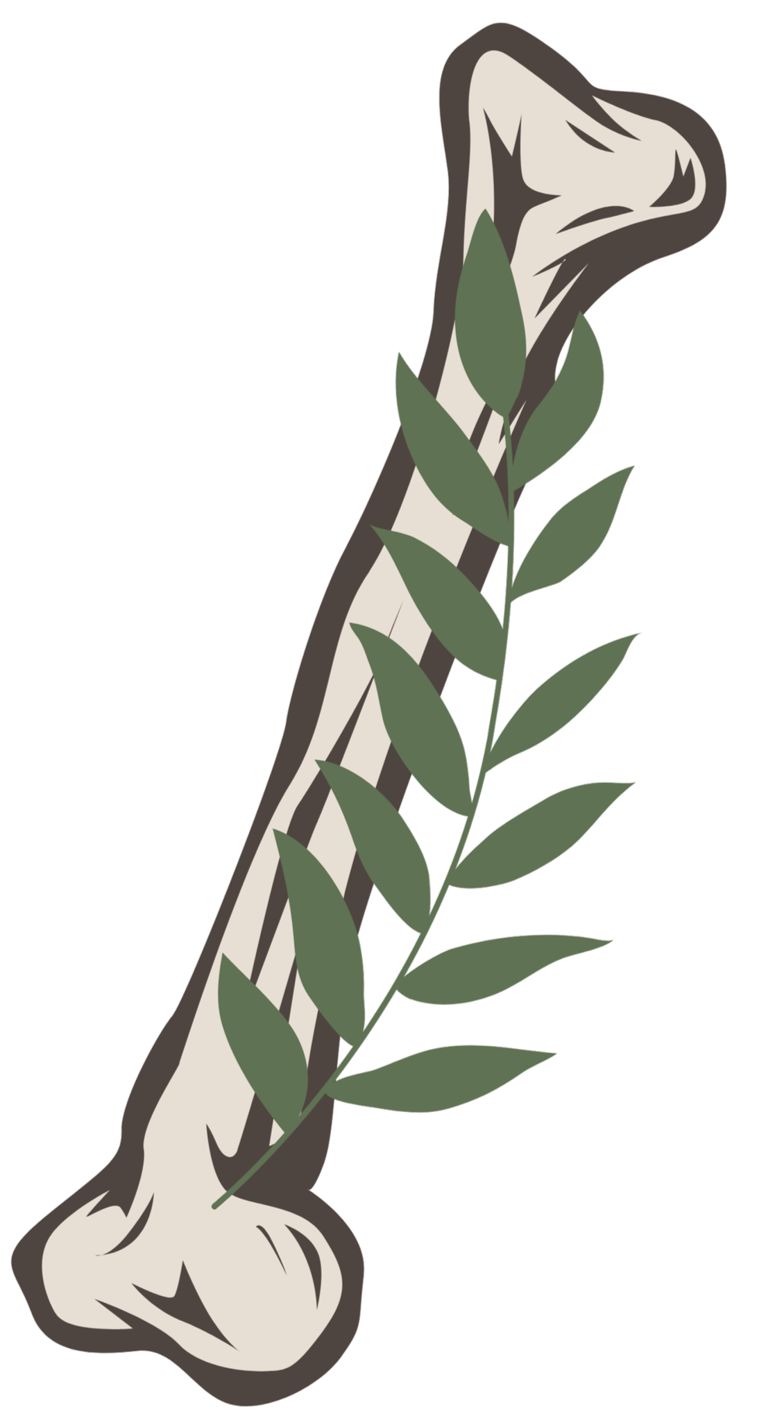 A diagram of a plant root with a branch of green leaves growing alongside it.