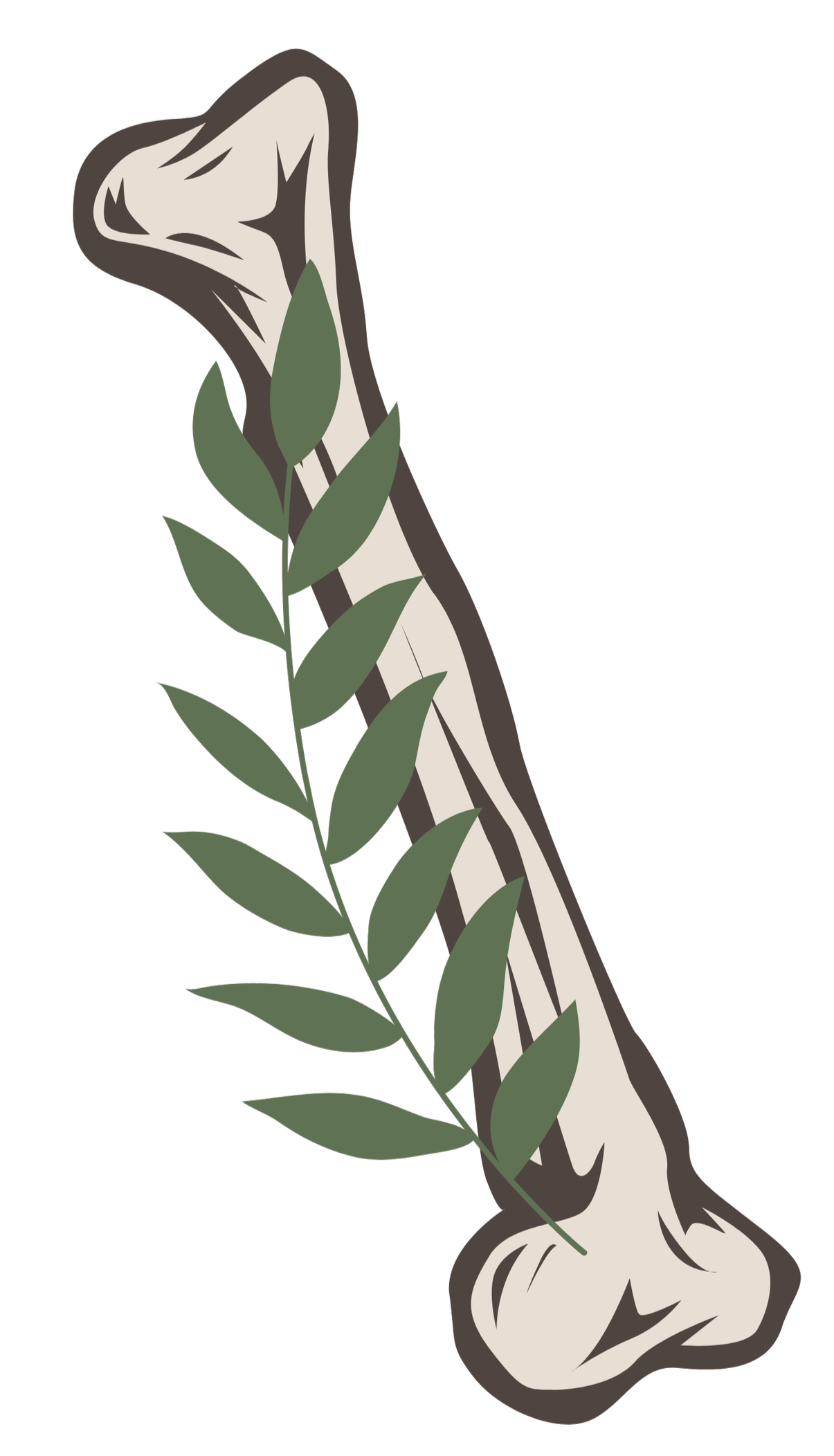 Illustration of a human femur bone with a green leafy branch overlayed